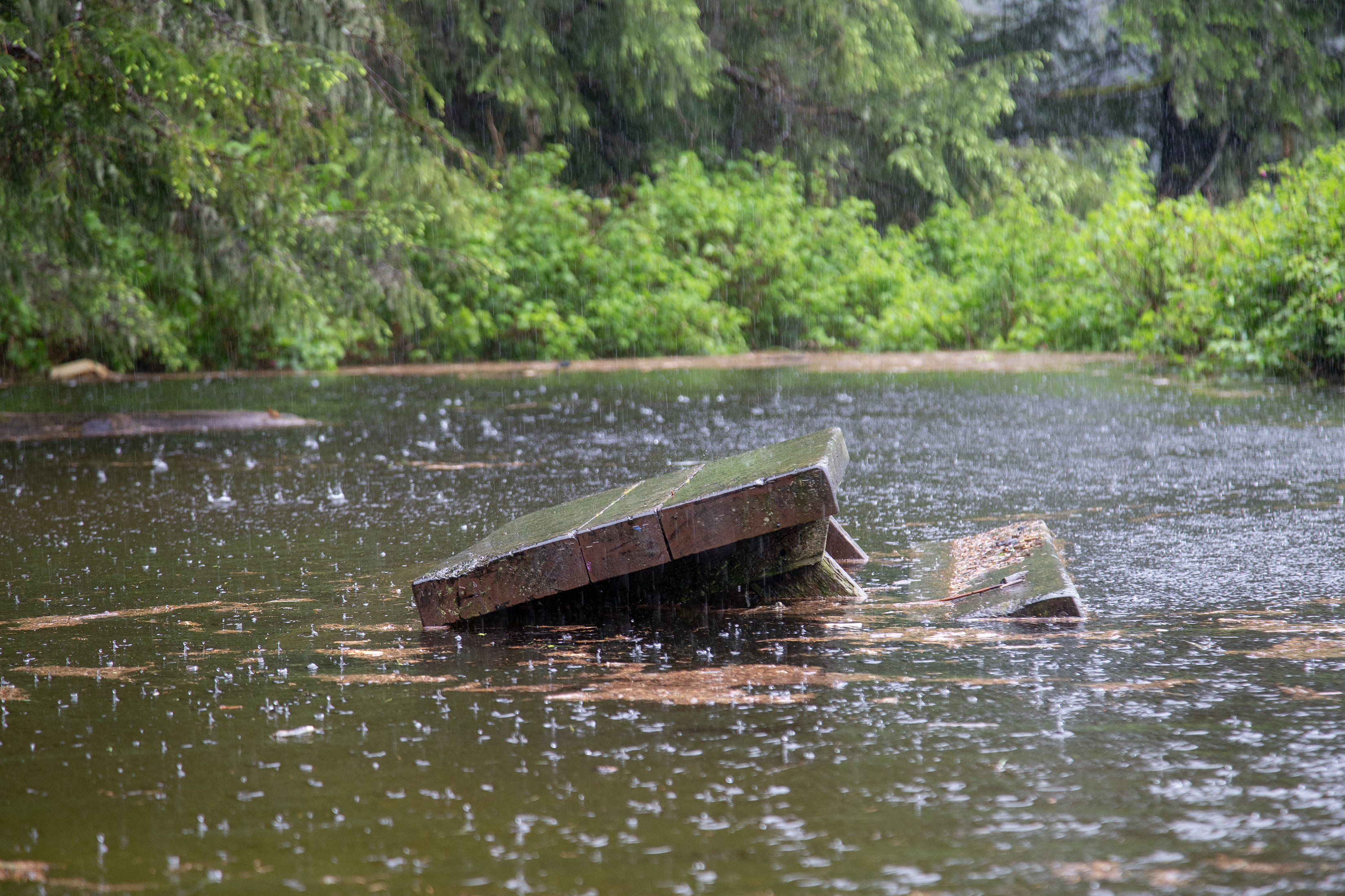 2025 05 28 Ward Lake Flooding 3