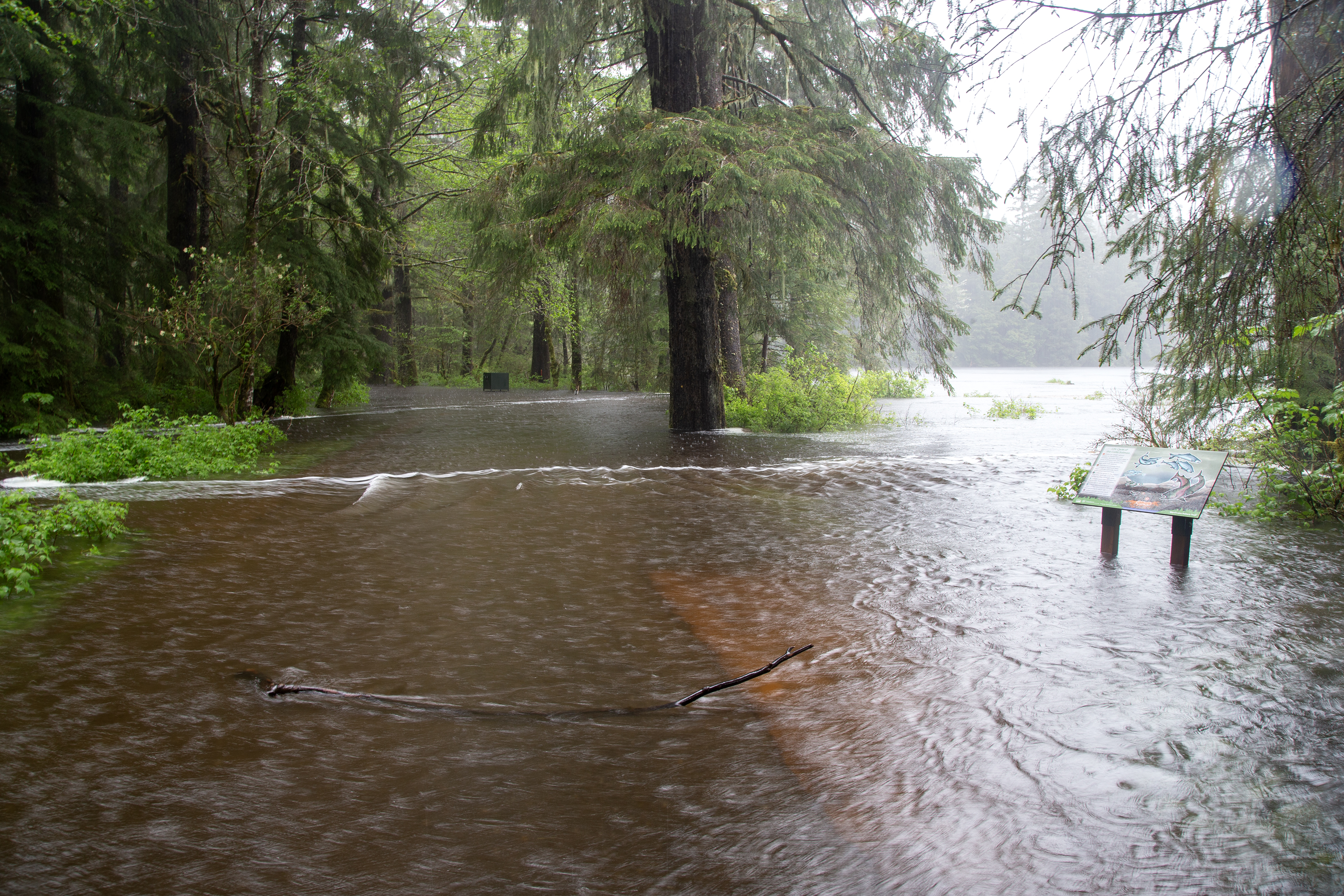 2025 05 28 Ward Lake Flooding 8
