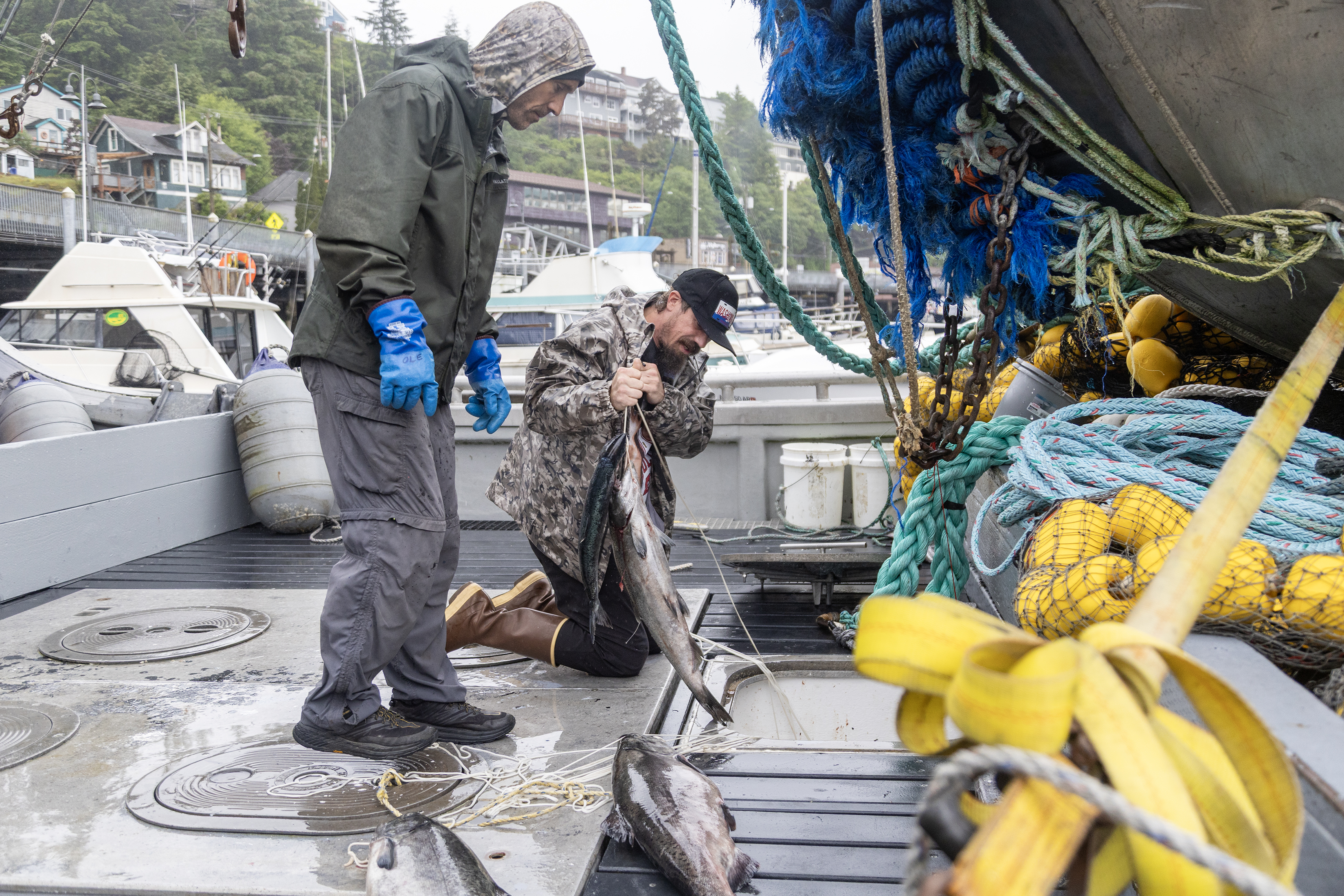 2025 06 25 Salmon Sale