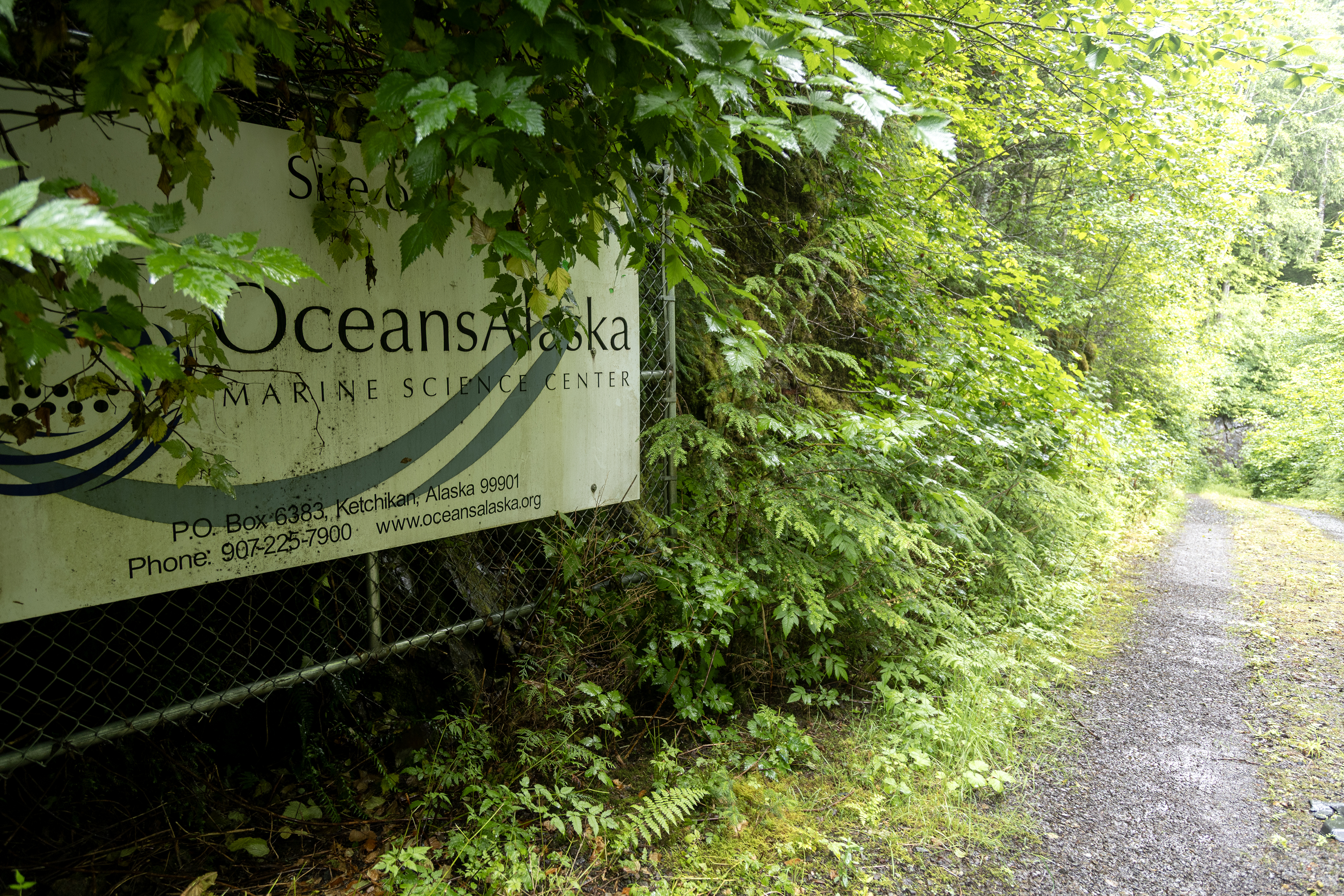 2025 07 08 8700 S Tongass 2