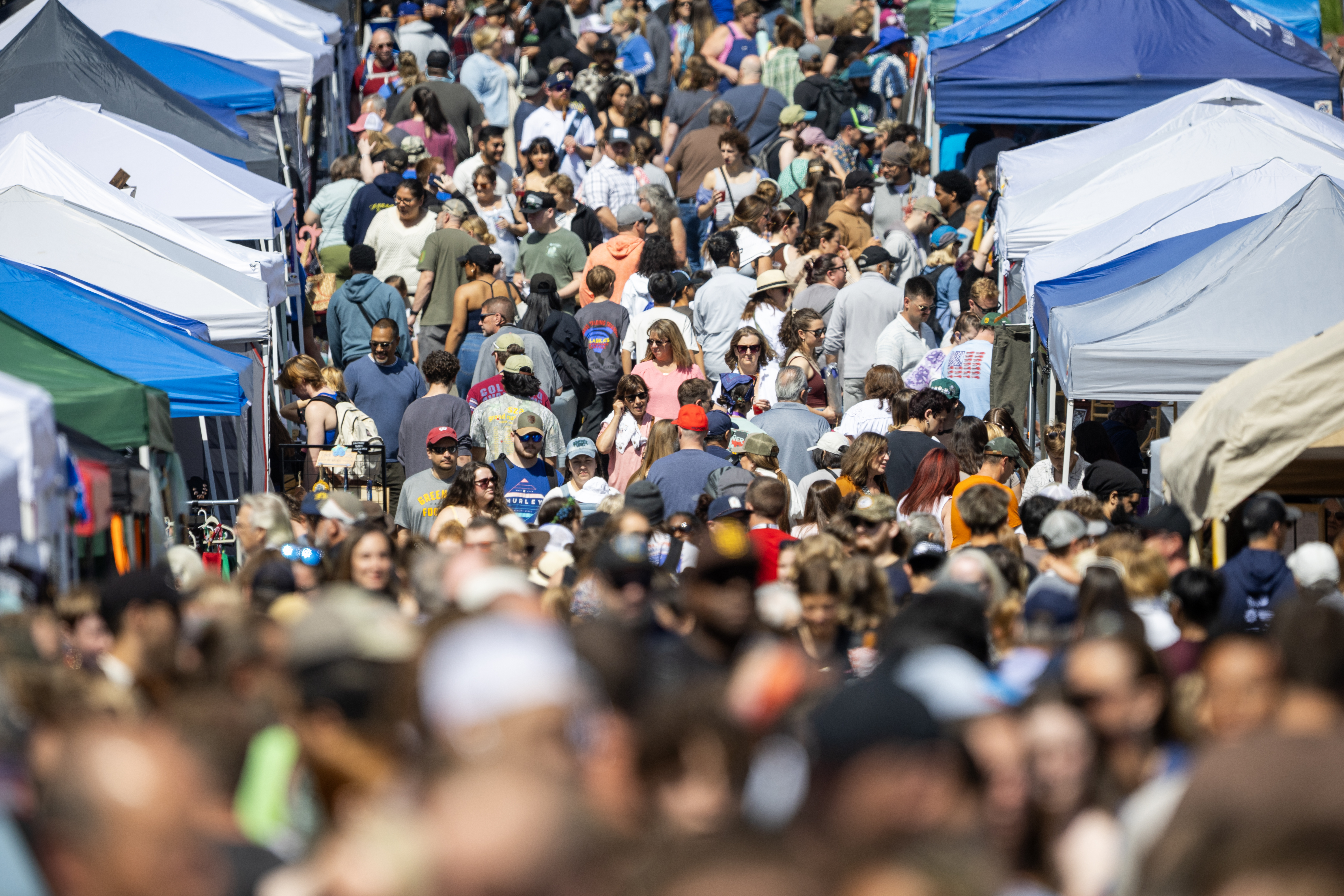 2025 08 02 Blueberry Fest 7