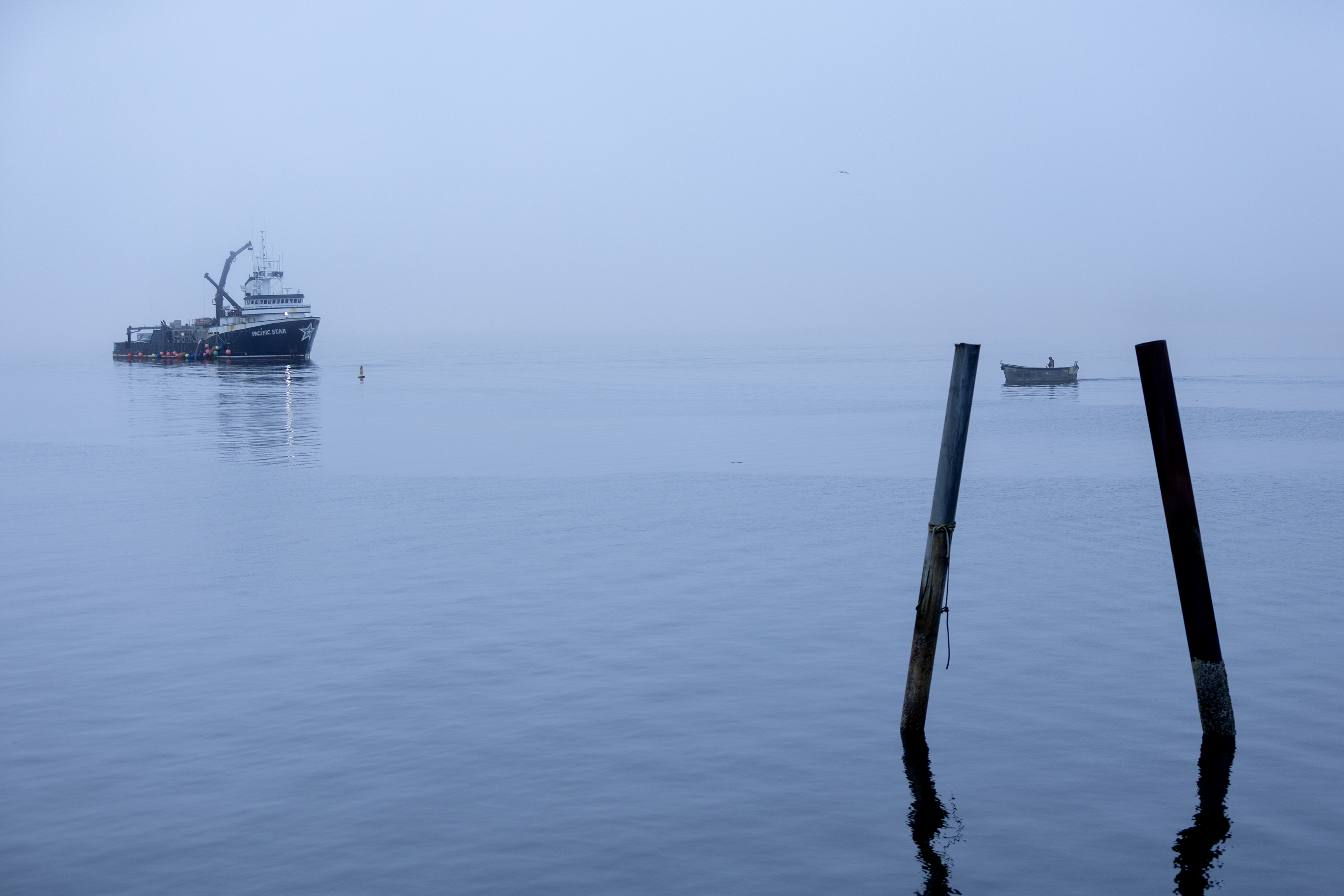 2025 08 13 Foggy Town 2