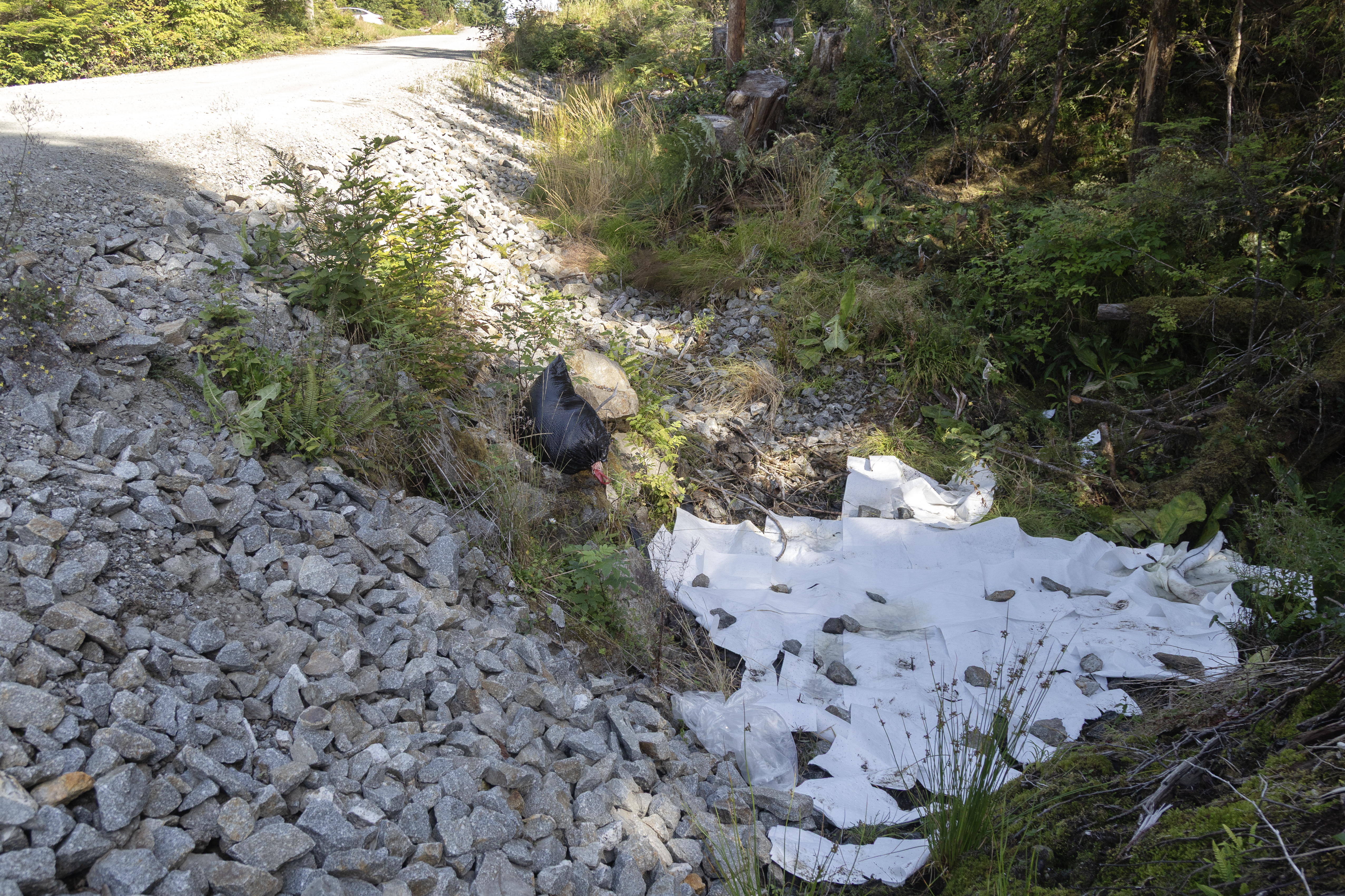 2025 08 26 Point Higgins Oil Spill 3