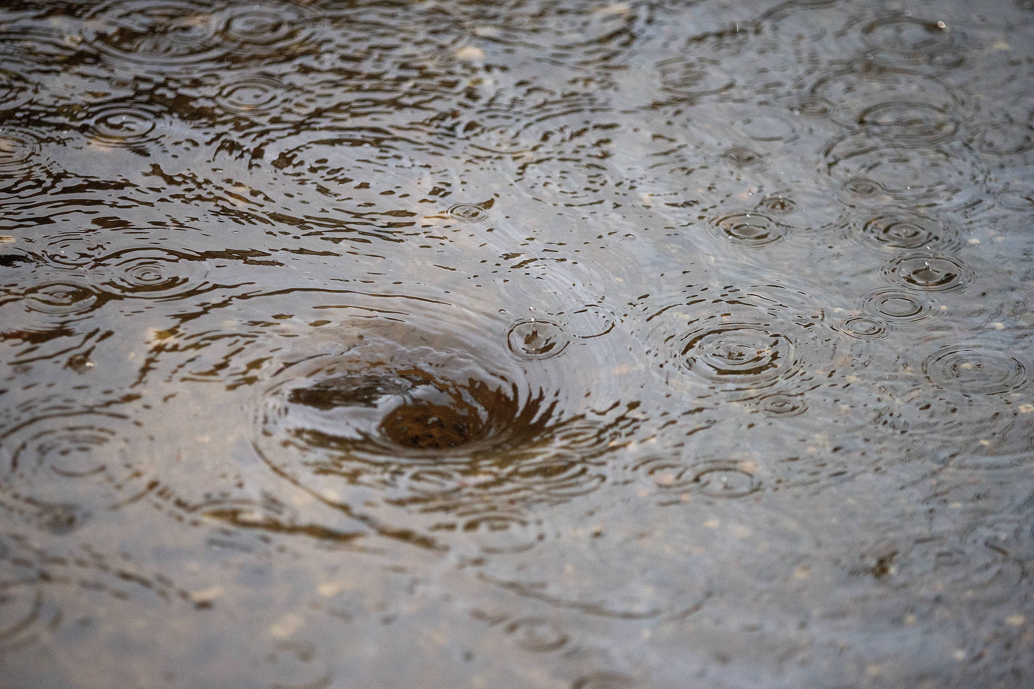 2025 09 19 Rainy Friday 4