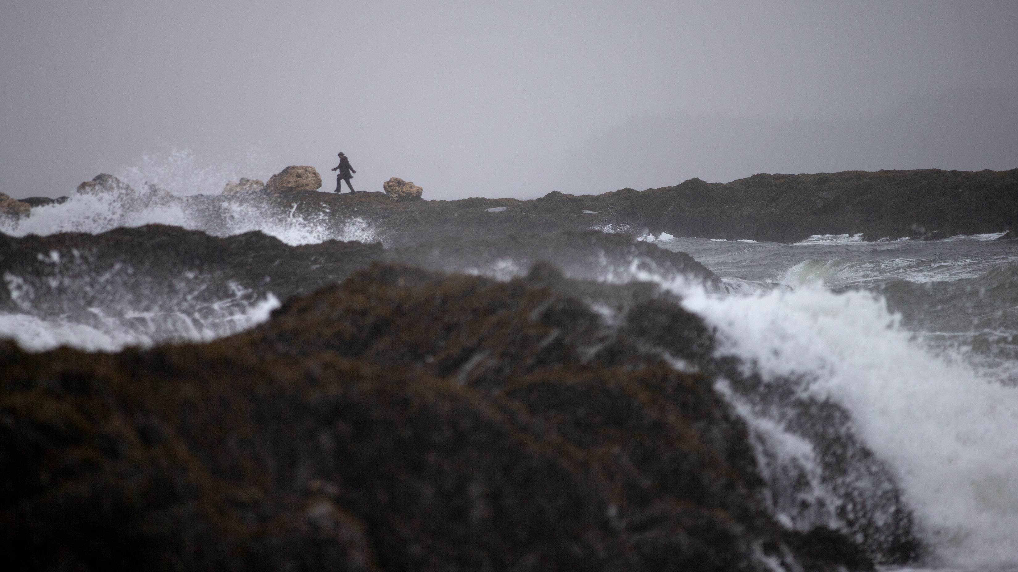 2025 09 26 Wave Walker