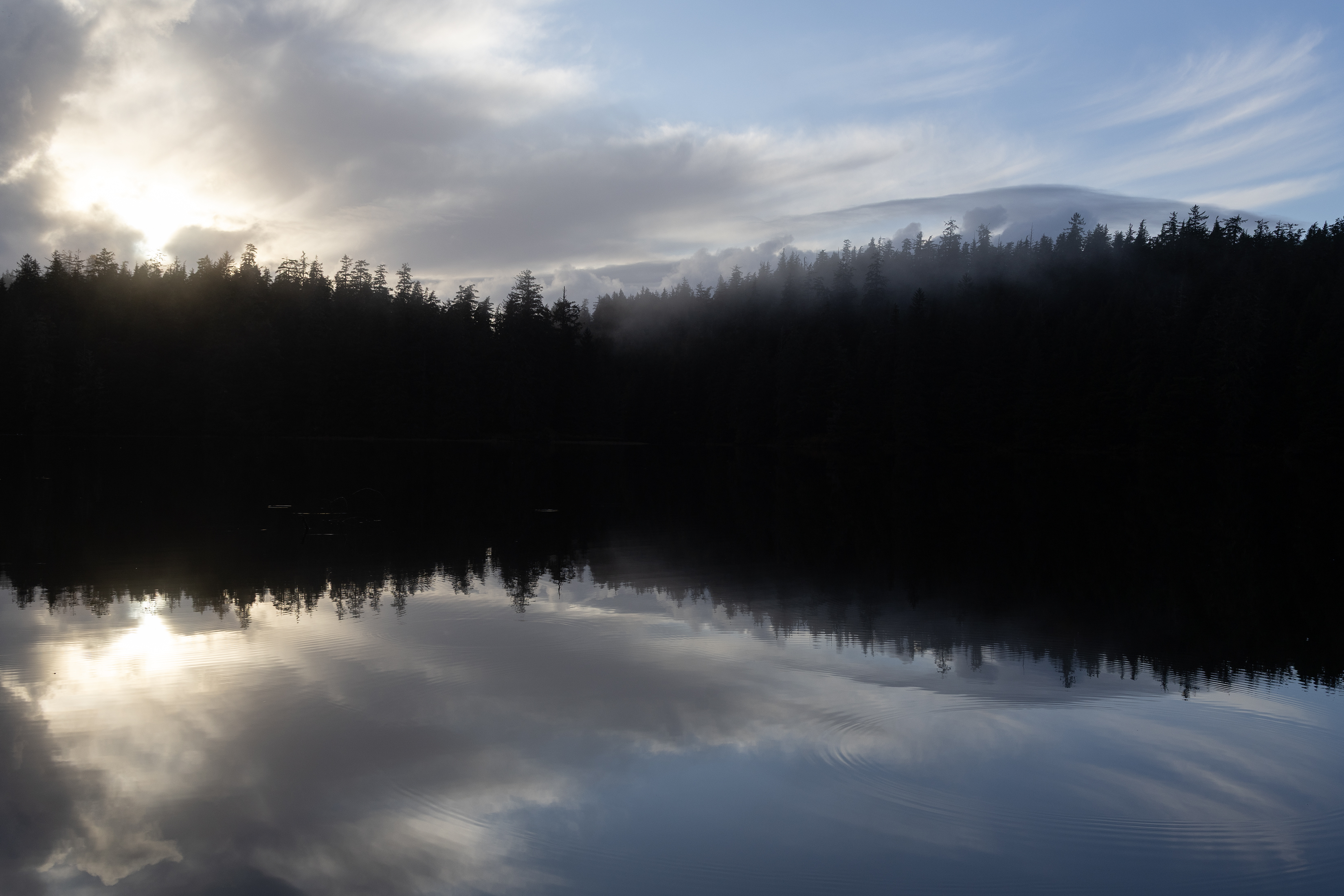 2025 11 04 Ward Lake 3