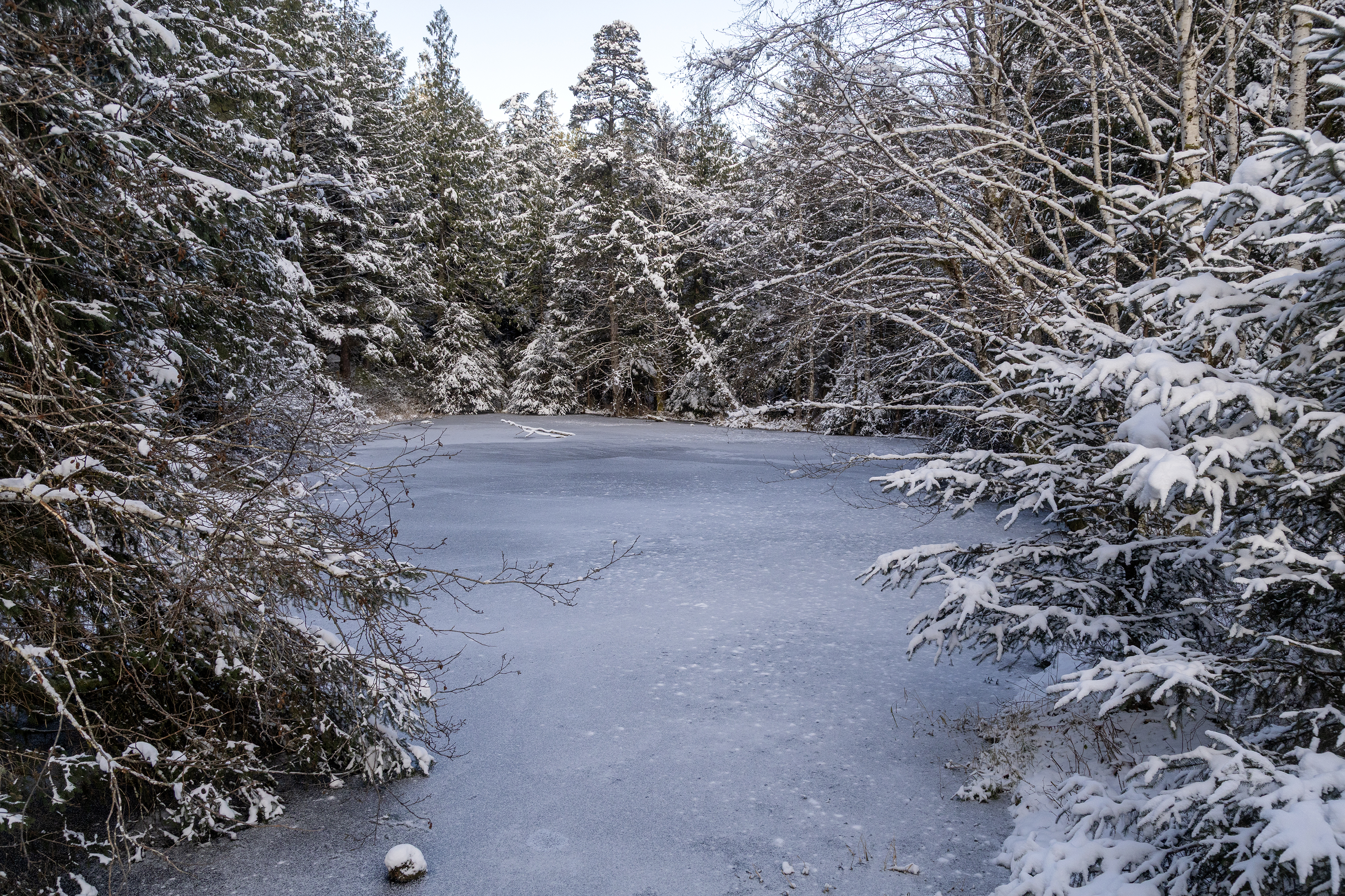 2025 12 12 Frog Pond Frozen