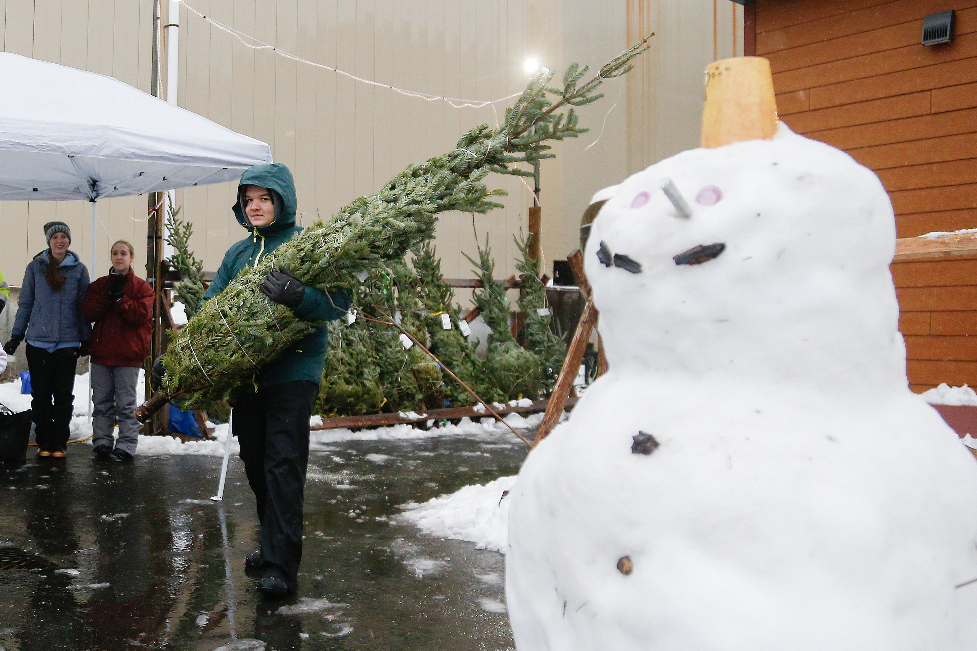 2025 12 13 Christmas Tree Lot 1