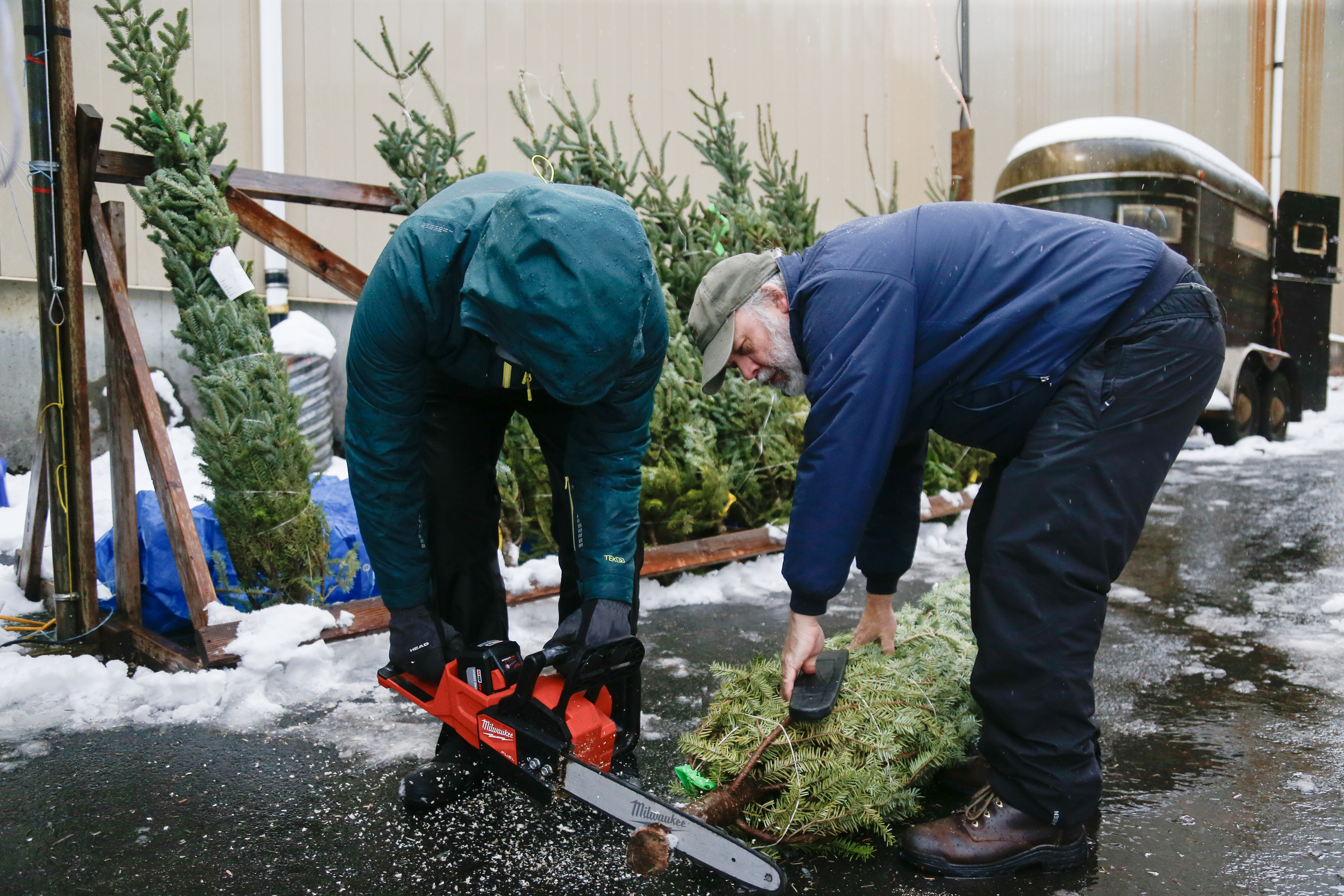 2025 12 13 Christmas Tree Lot 3