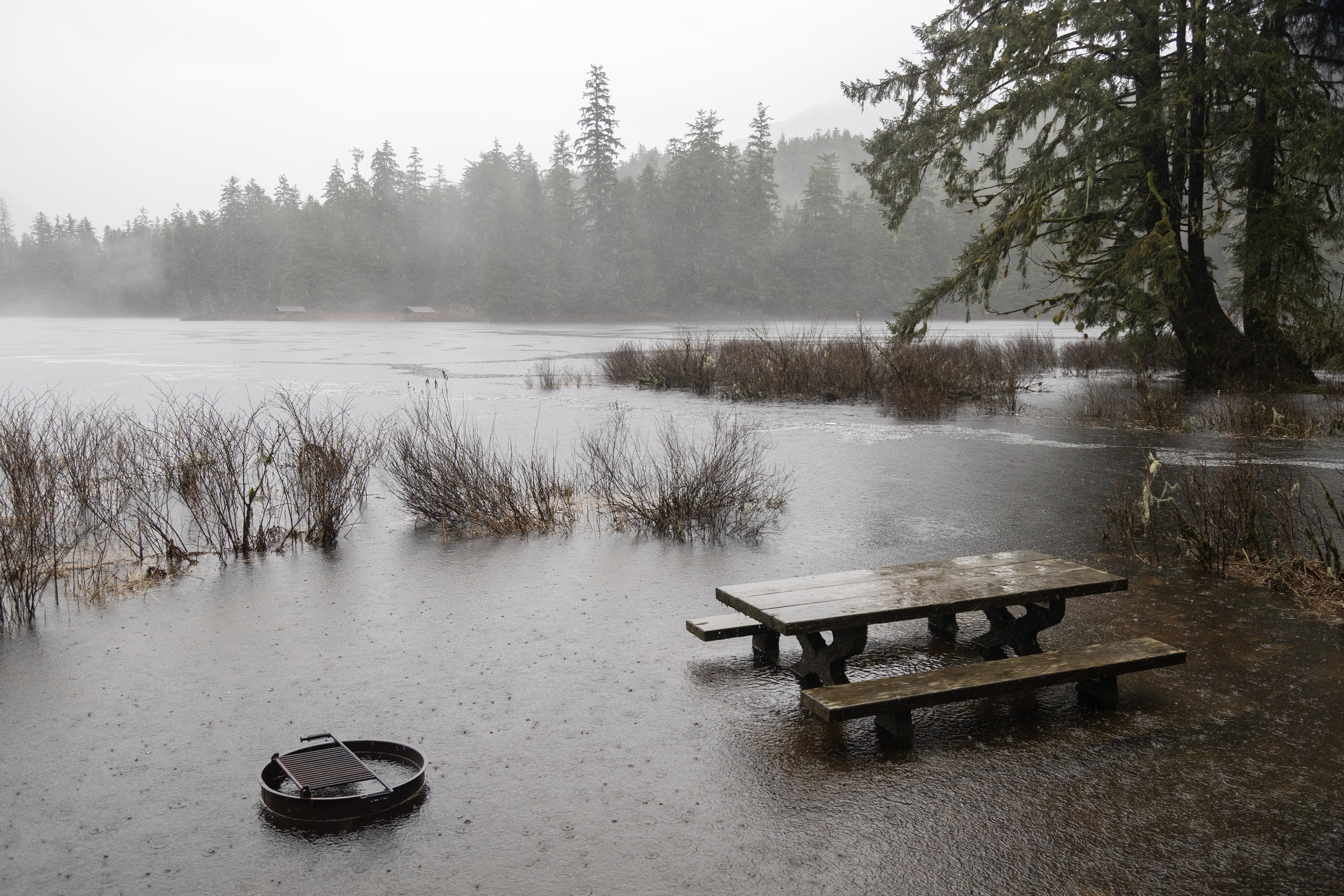 2026 02 04 Wet Ward Lake 2