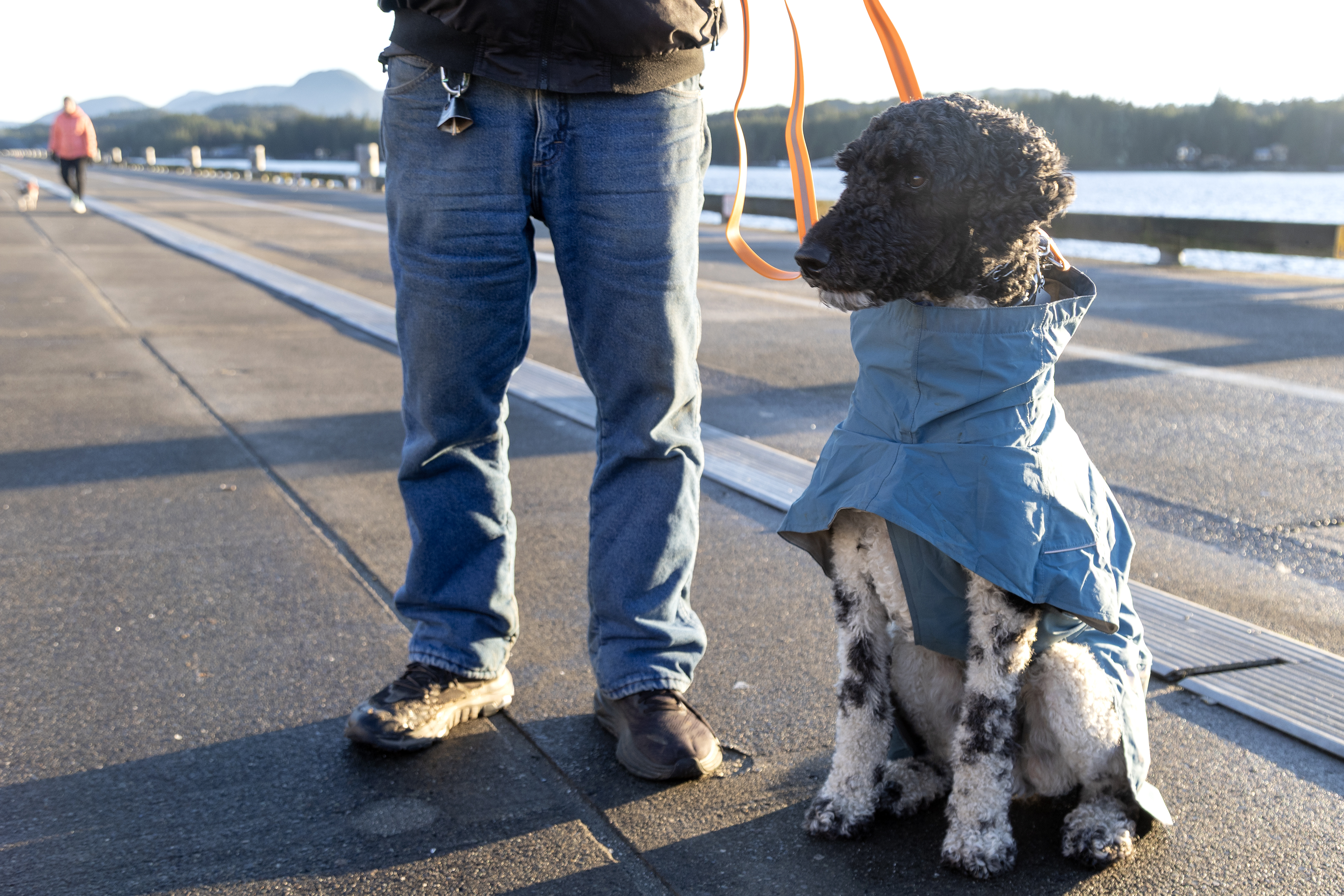 2026 02 05 Dog Fashion 2