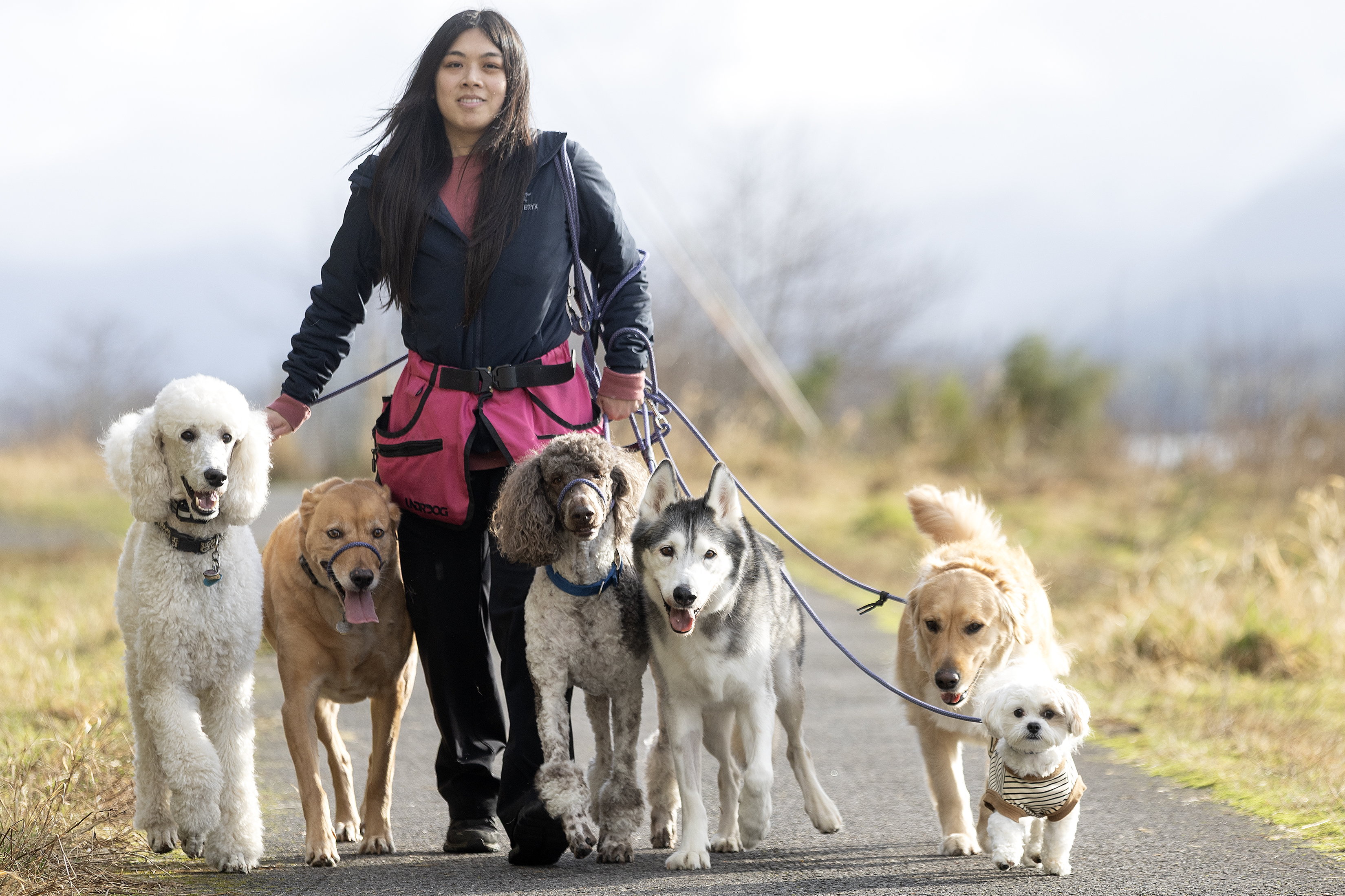 2026 02 13 Dog Walker