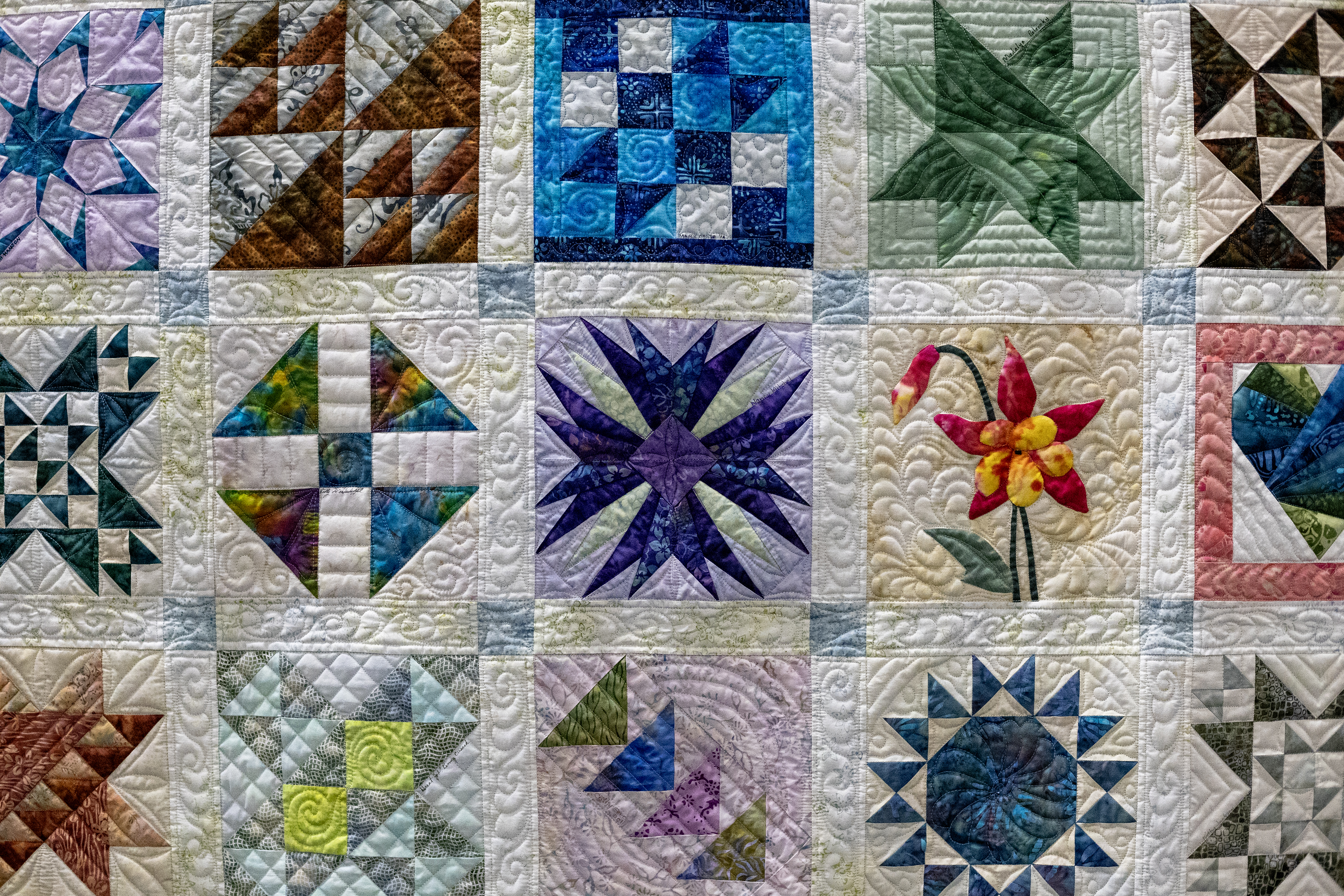 2026 02 15 Quilt Show 3
