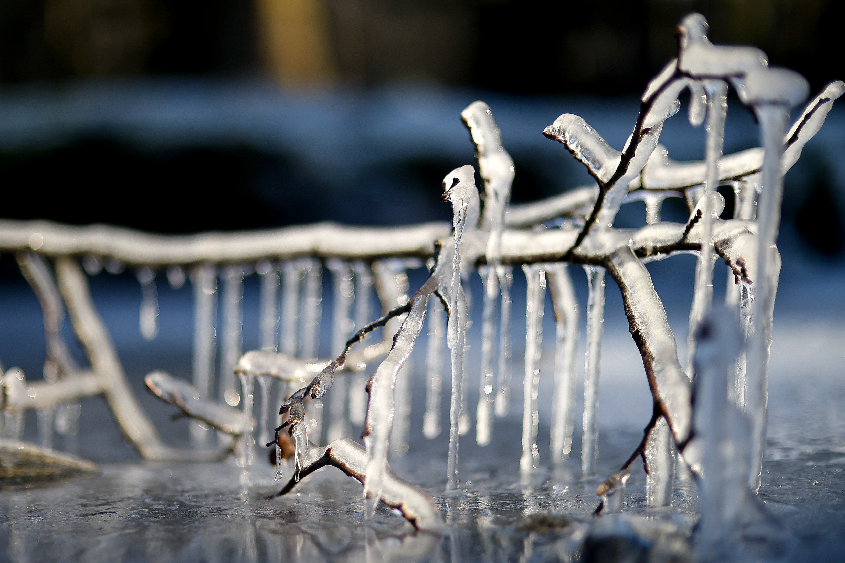 2026 02 19 Ice 1