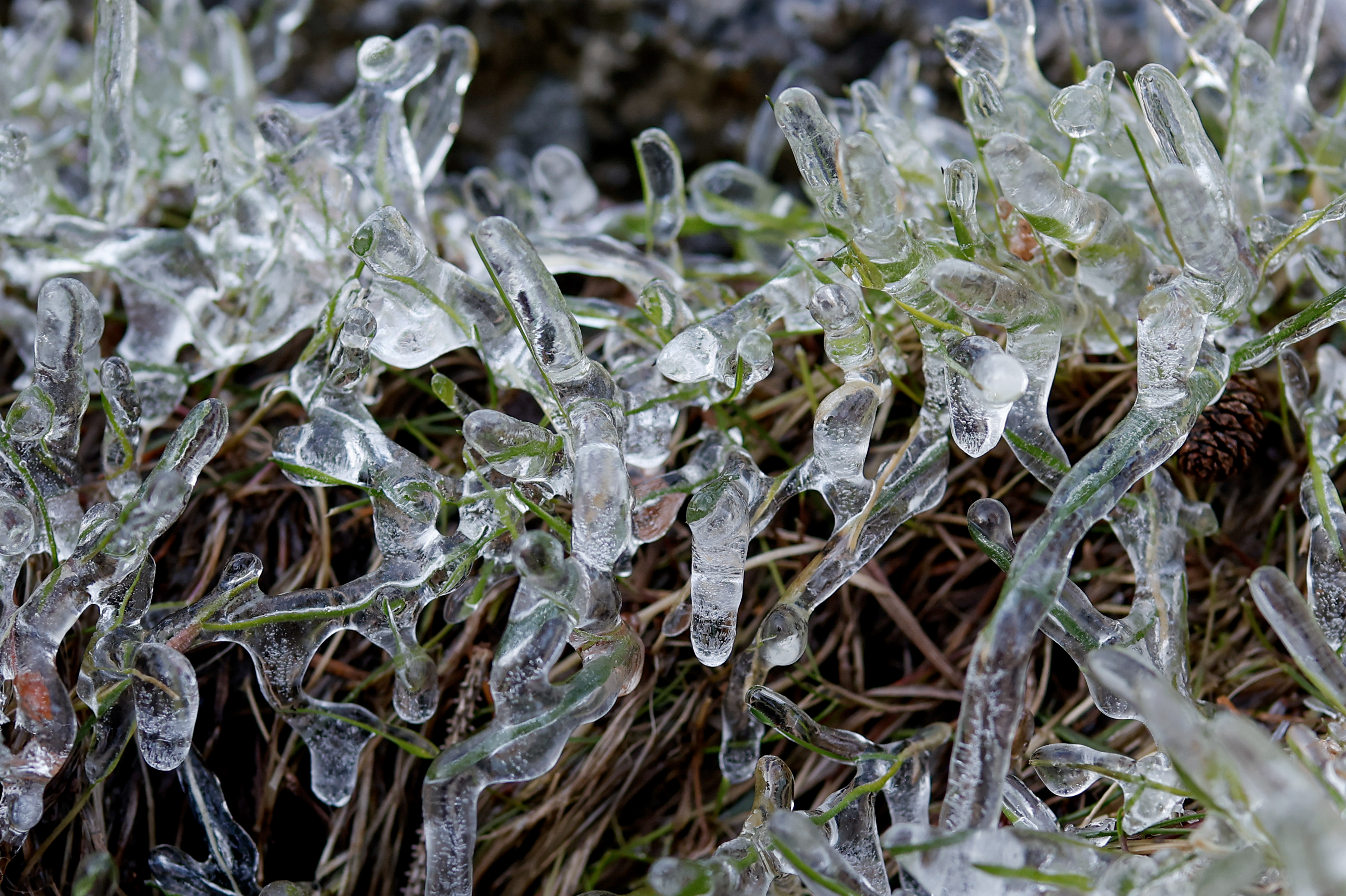 2026 02 19 Ice 2