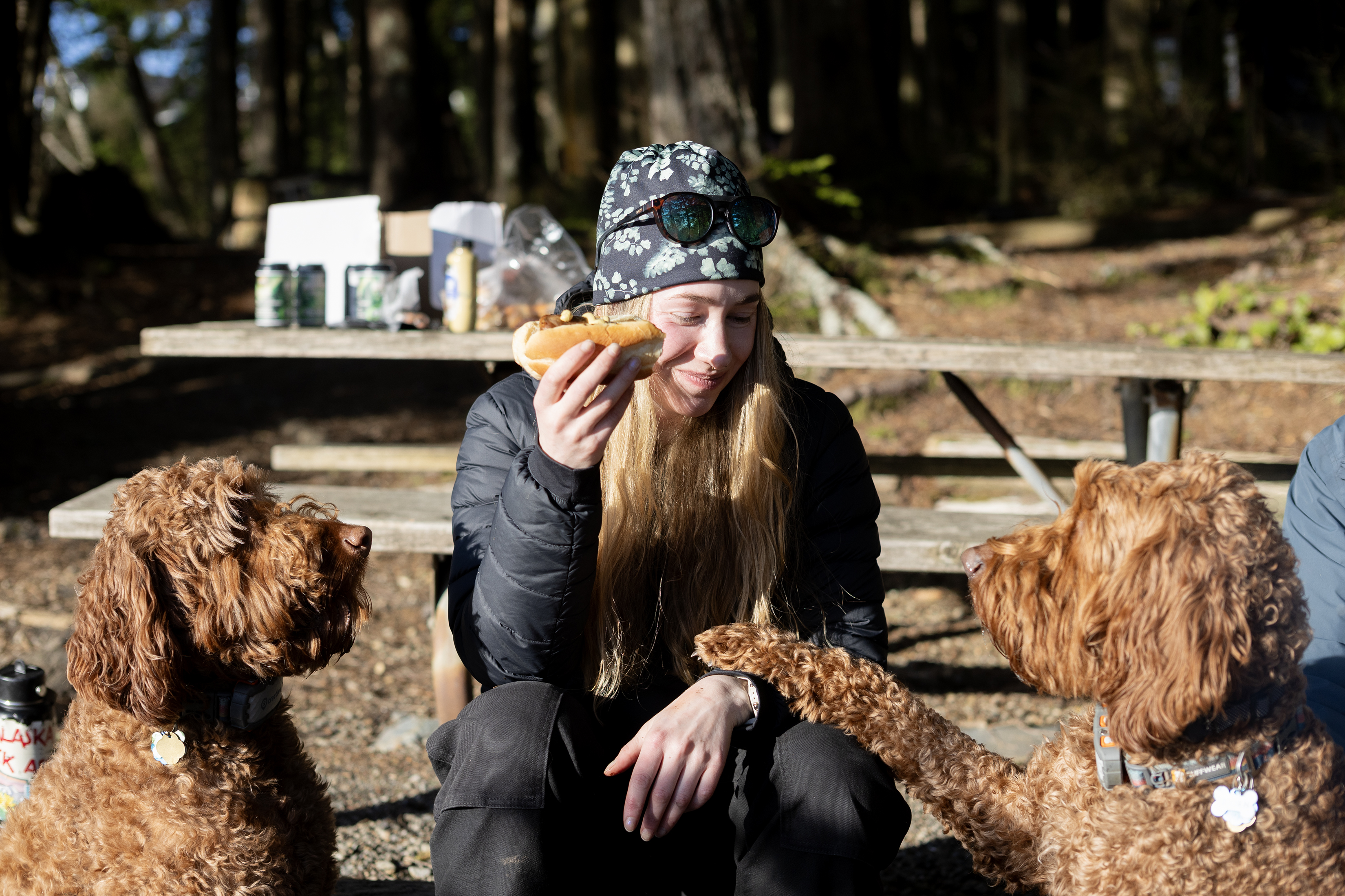 2026 02 27 Hot Dog Dogs
