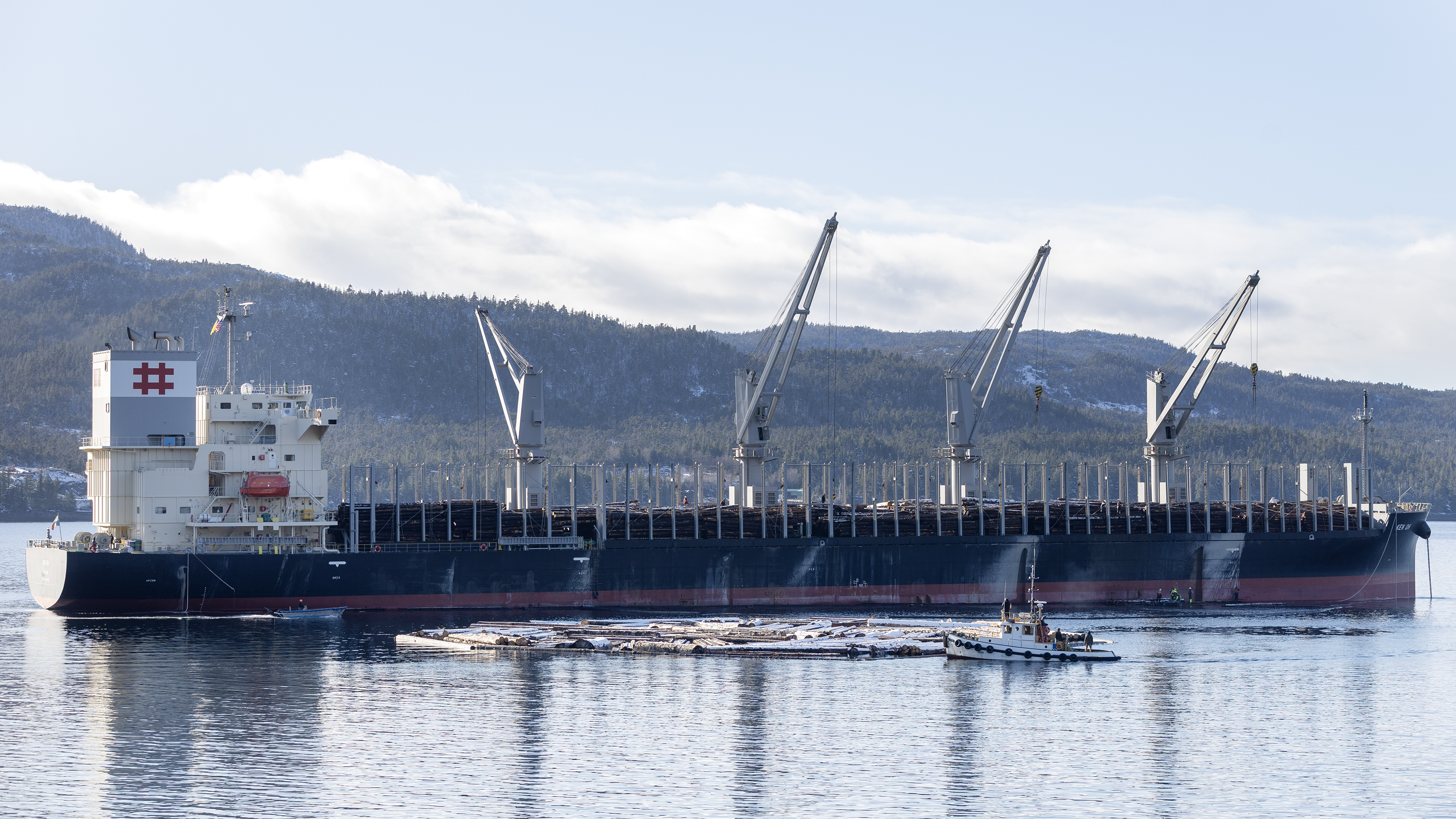 2026 02 27 Logging Ship 3