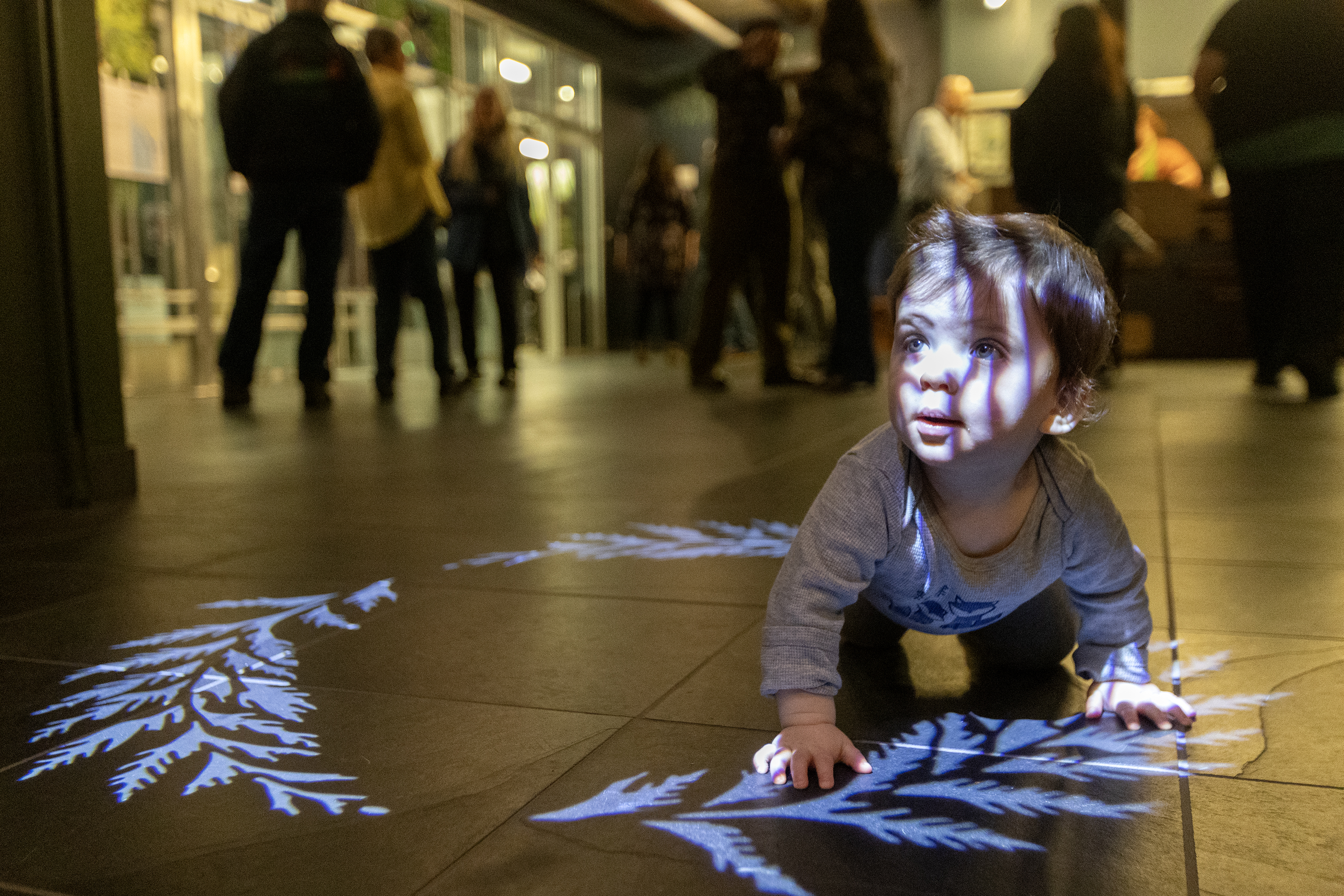 2026 03 06 Cedar Tree of Life 3
