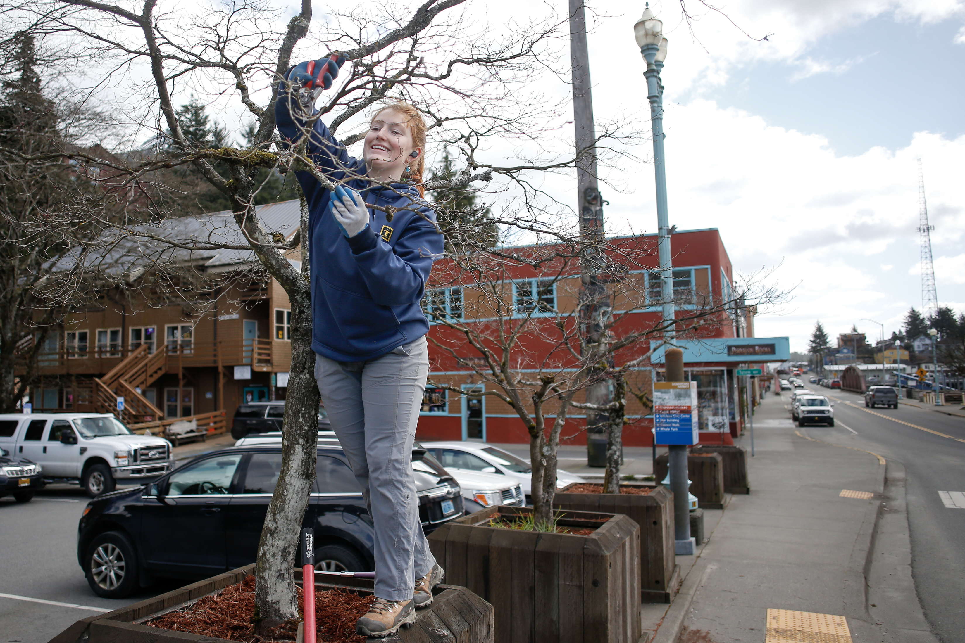 2026 04 22 Tree Pruning