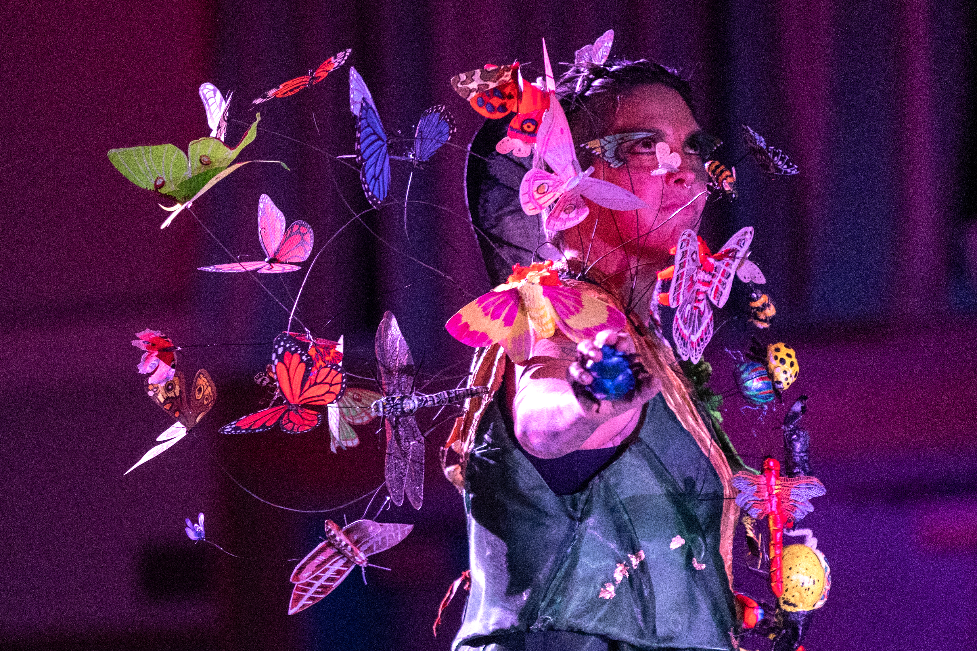 2026 02 05 Wearable Art Show A3