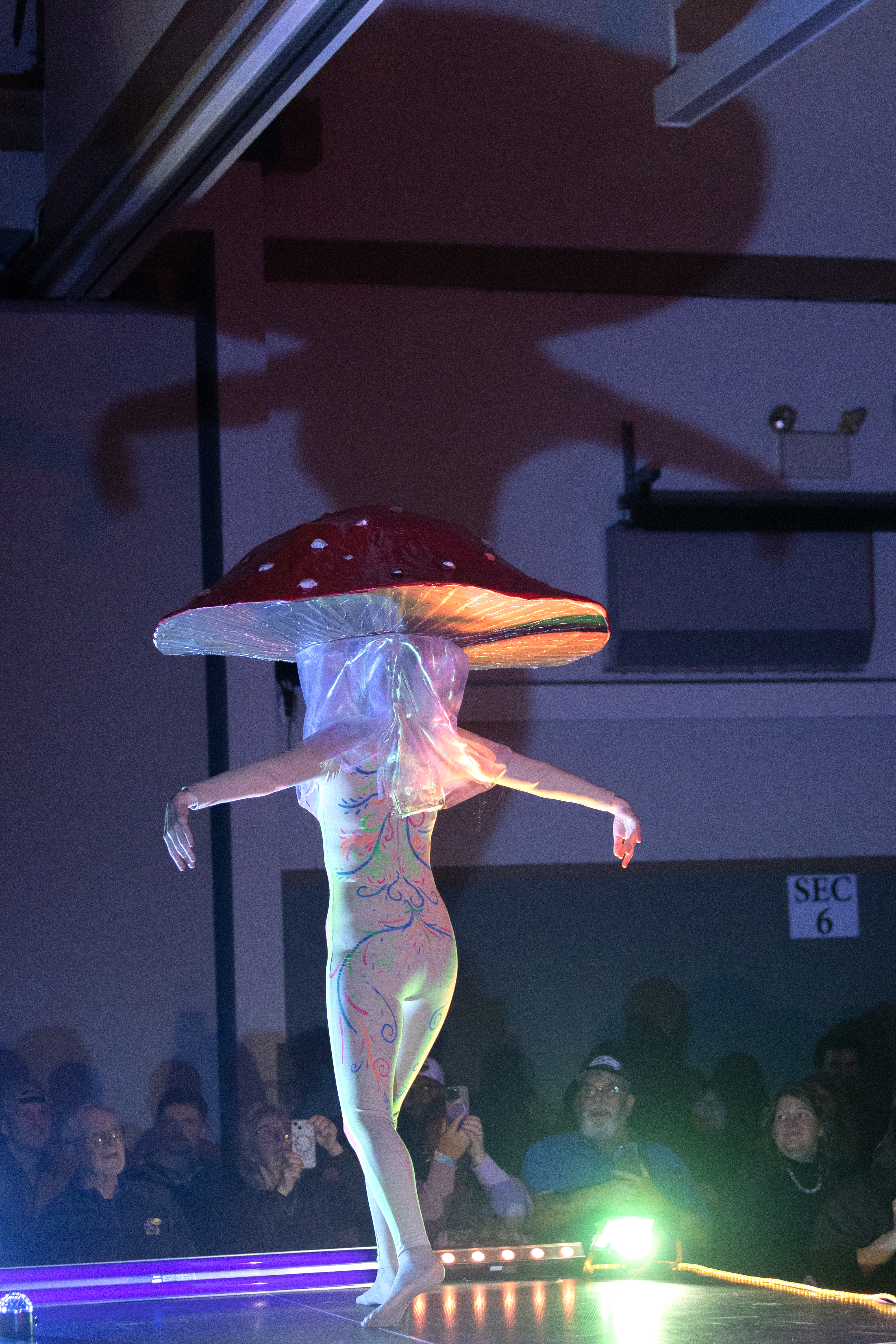 2026 02 05 Wearable Art Show C19B