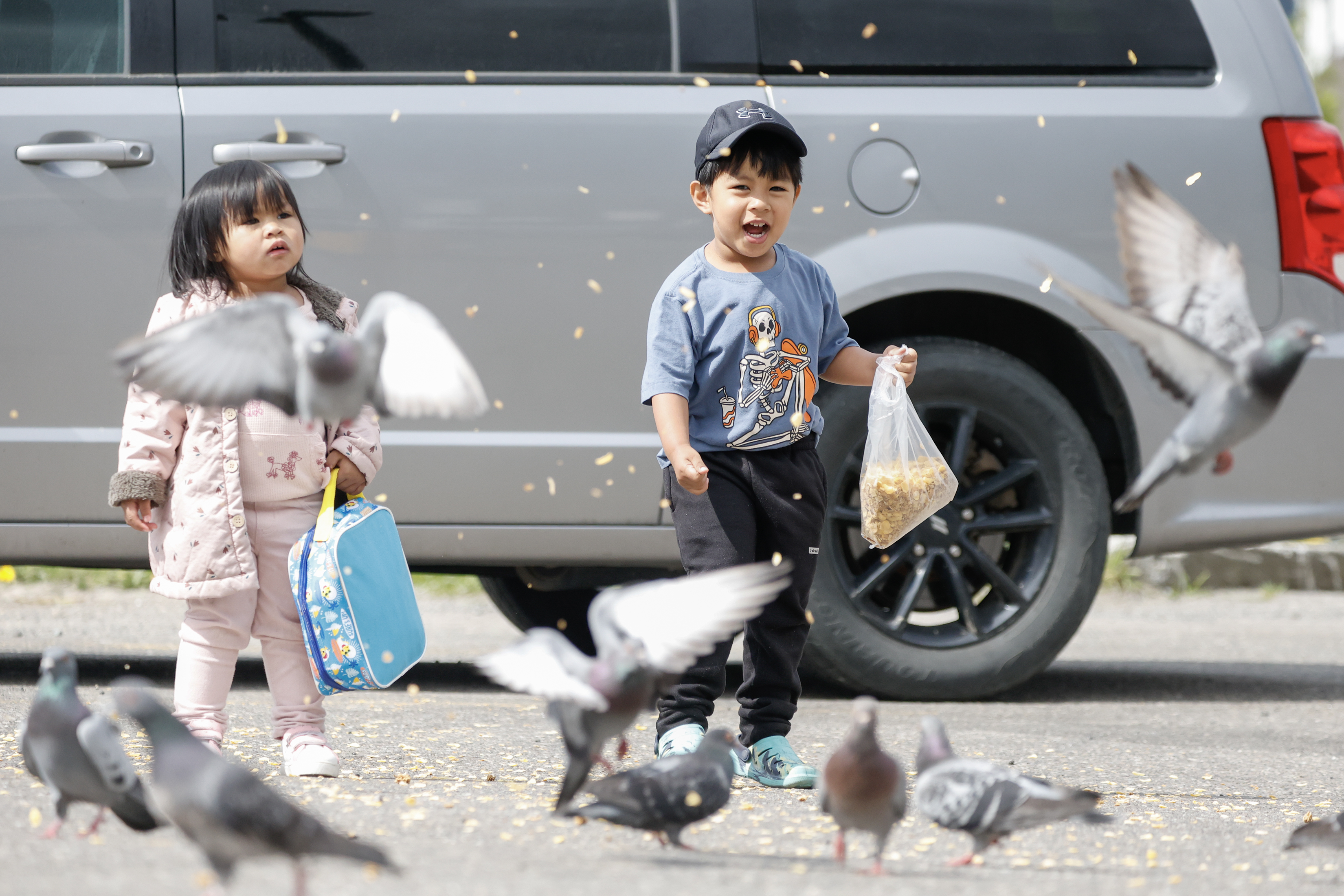 2026 05 06 Bird Feeders