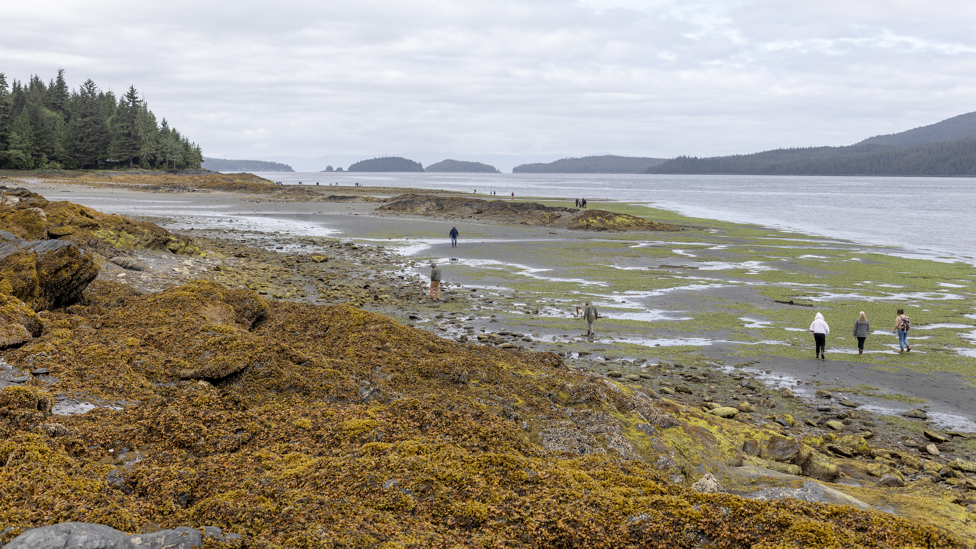 2026 05 19 Settlers Cove Lowtide 3