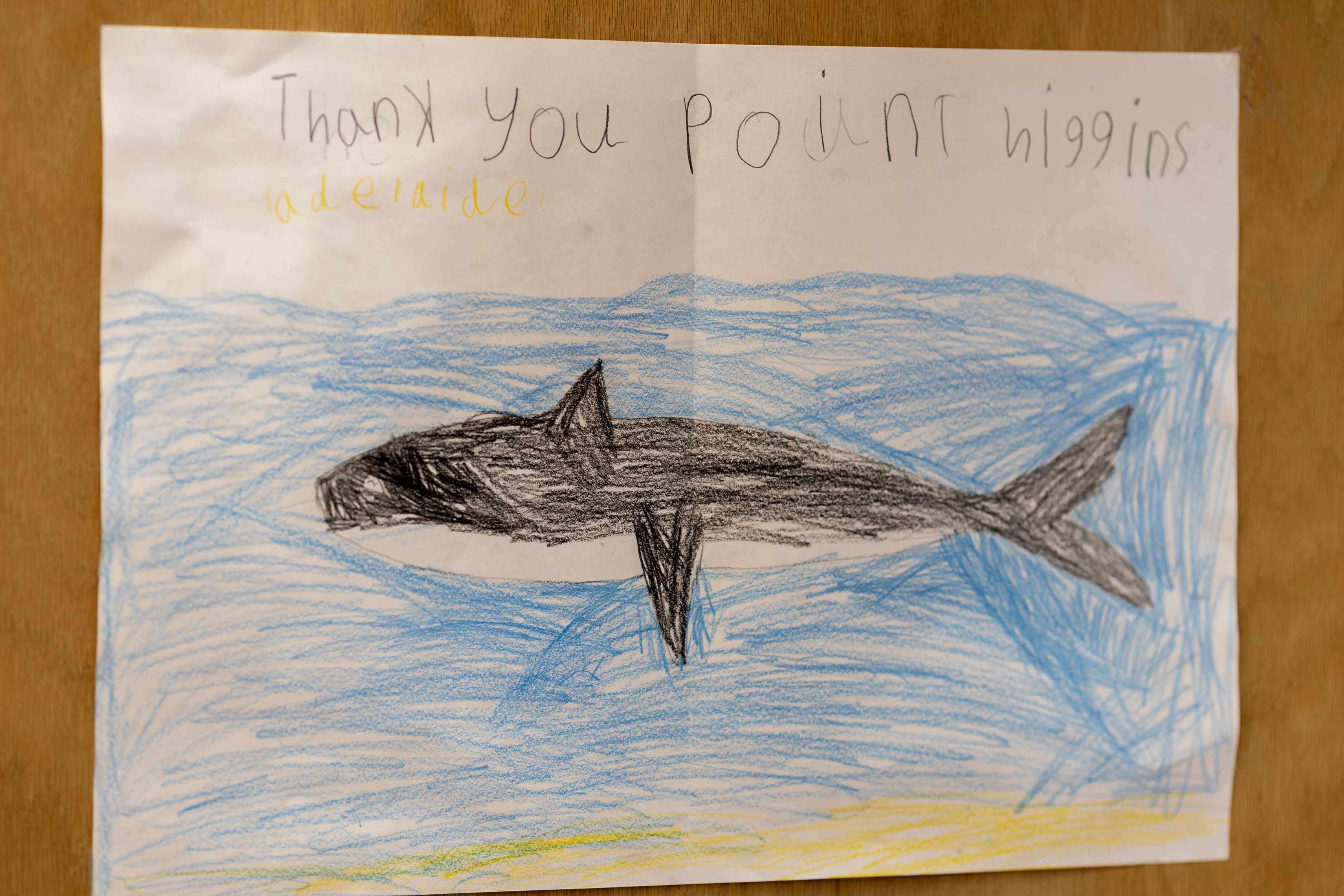 2026 05 27 Day at Point Higgins School 17