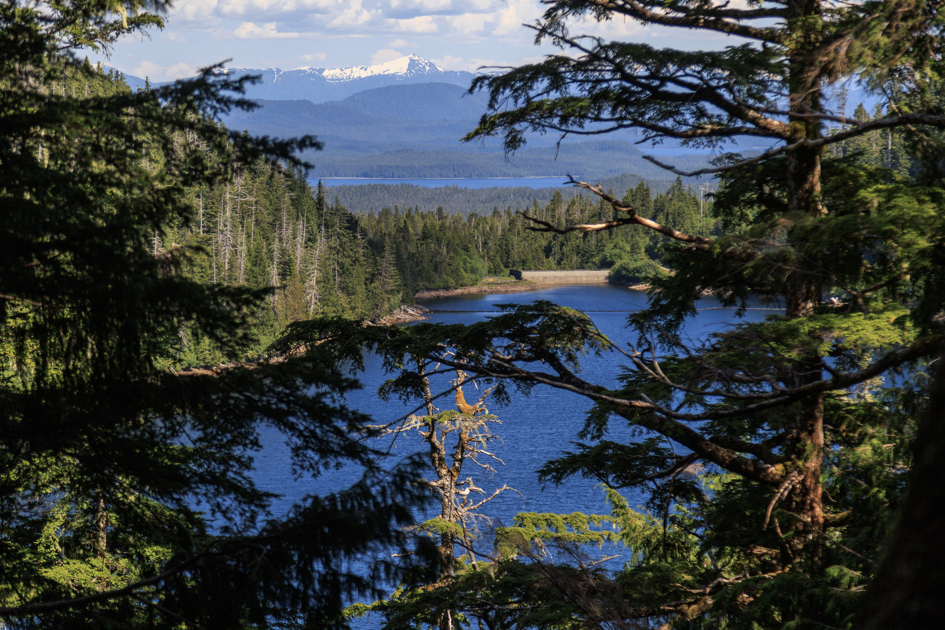 2026 06 21 Silvis Lake 1