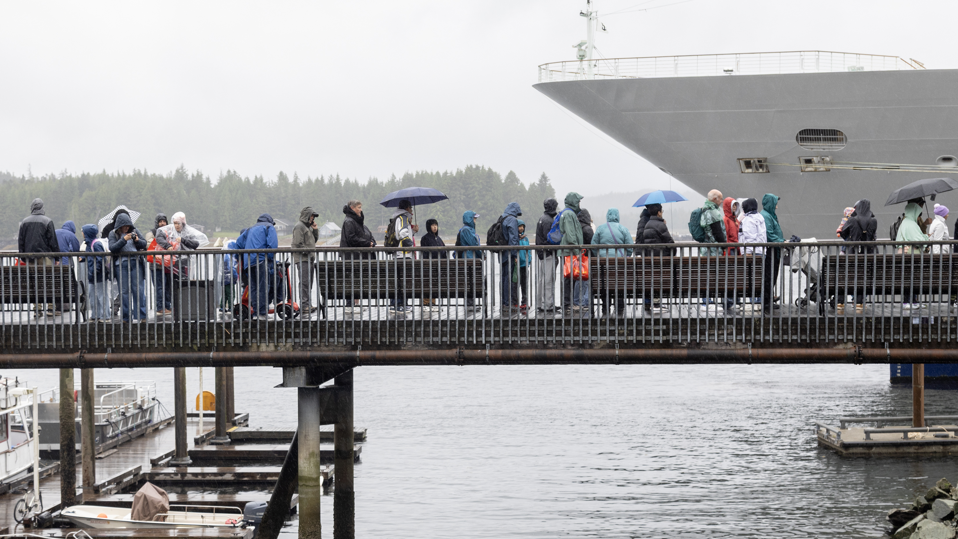 2026 07 02 Tourists in the Rain 1