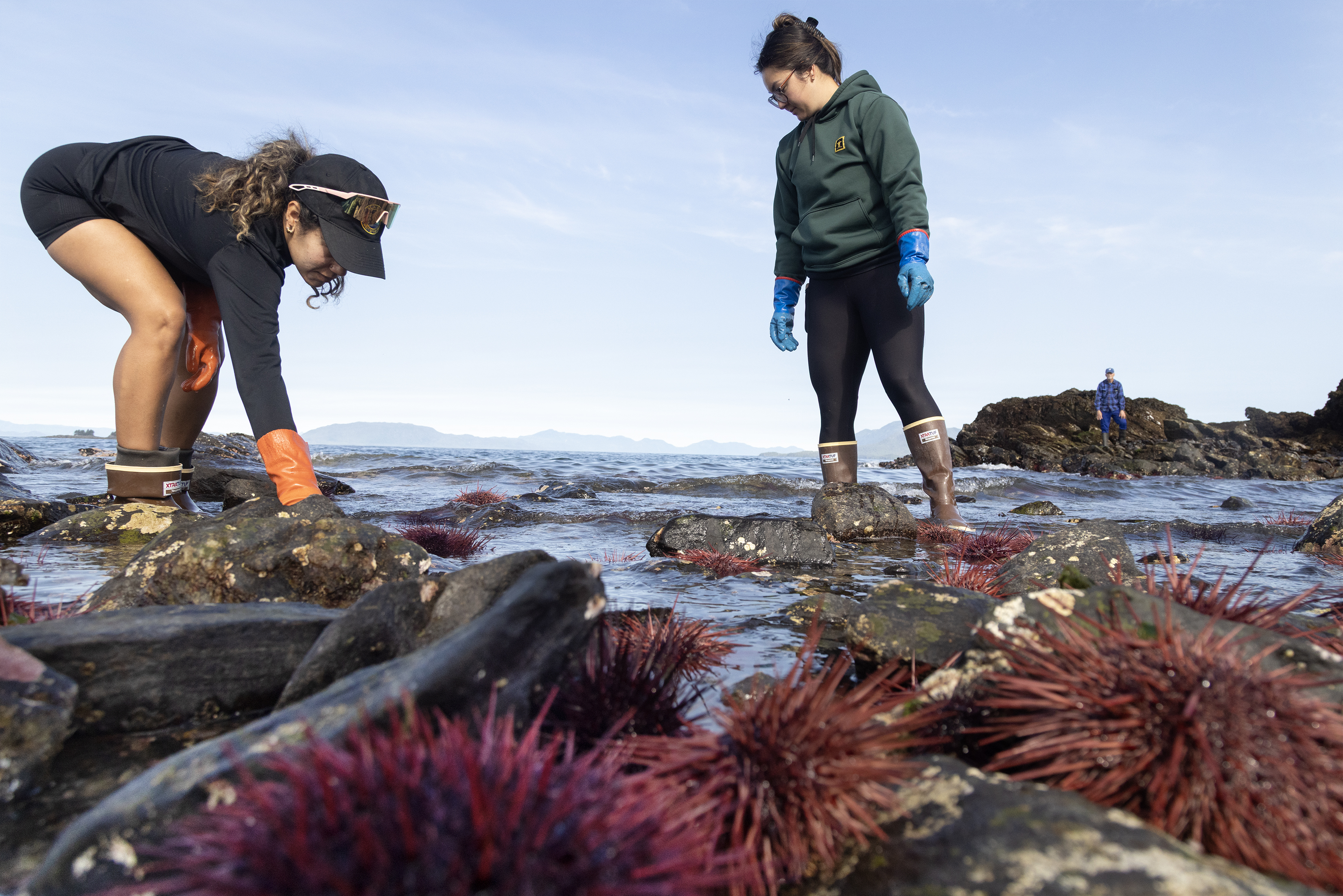 2026 07 15 Lowtide 1
