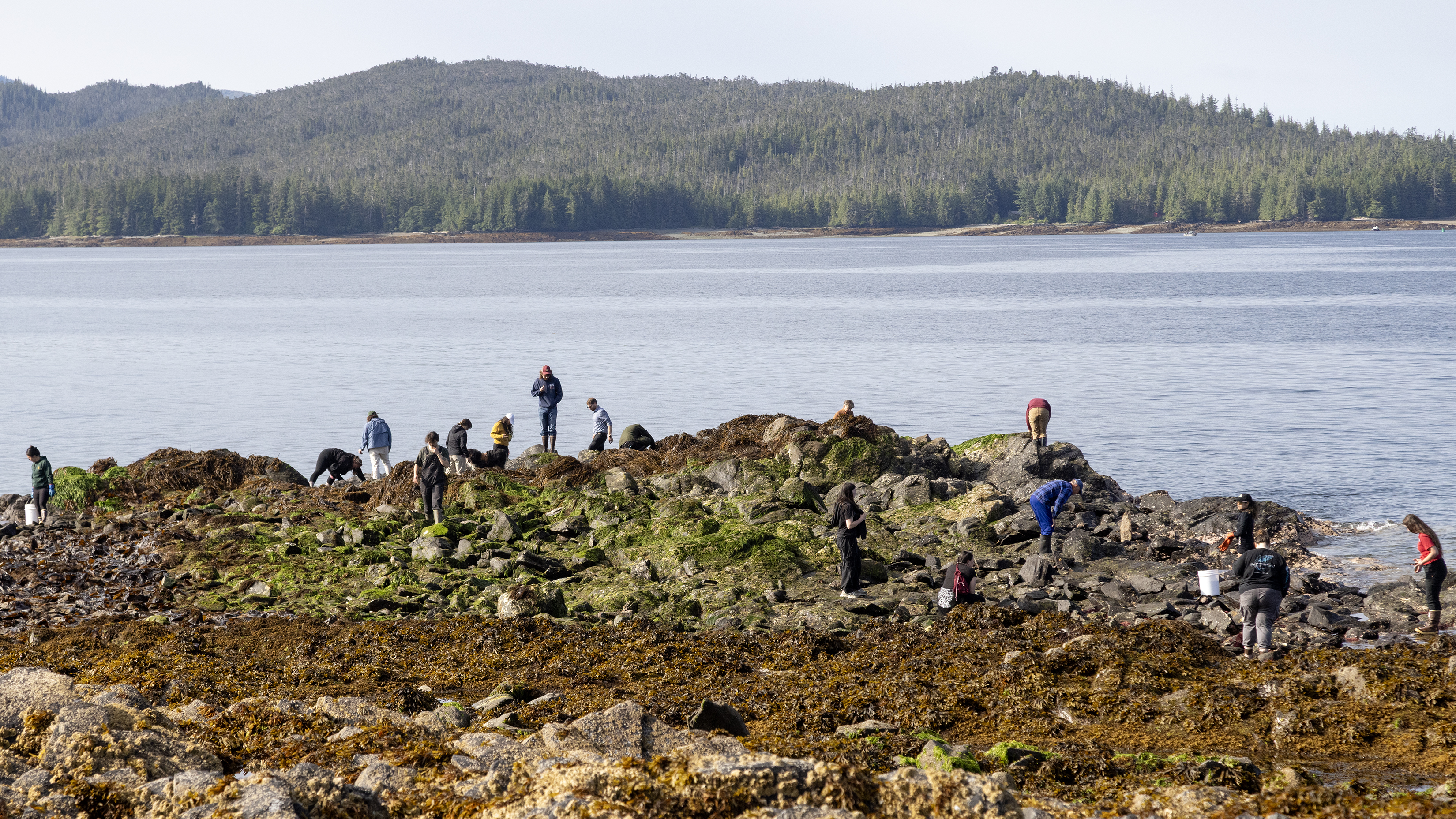 2026 07 15 Lowtide 2