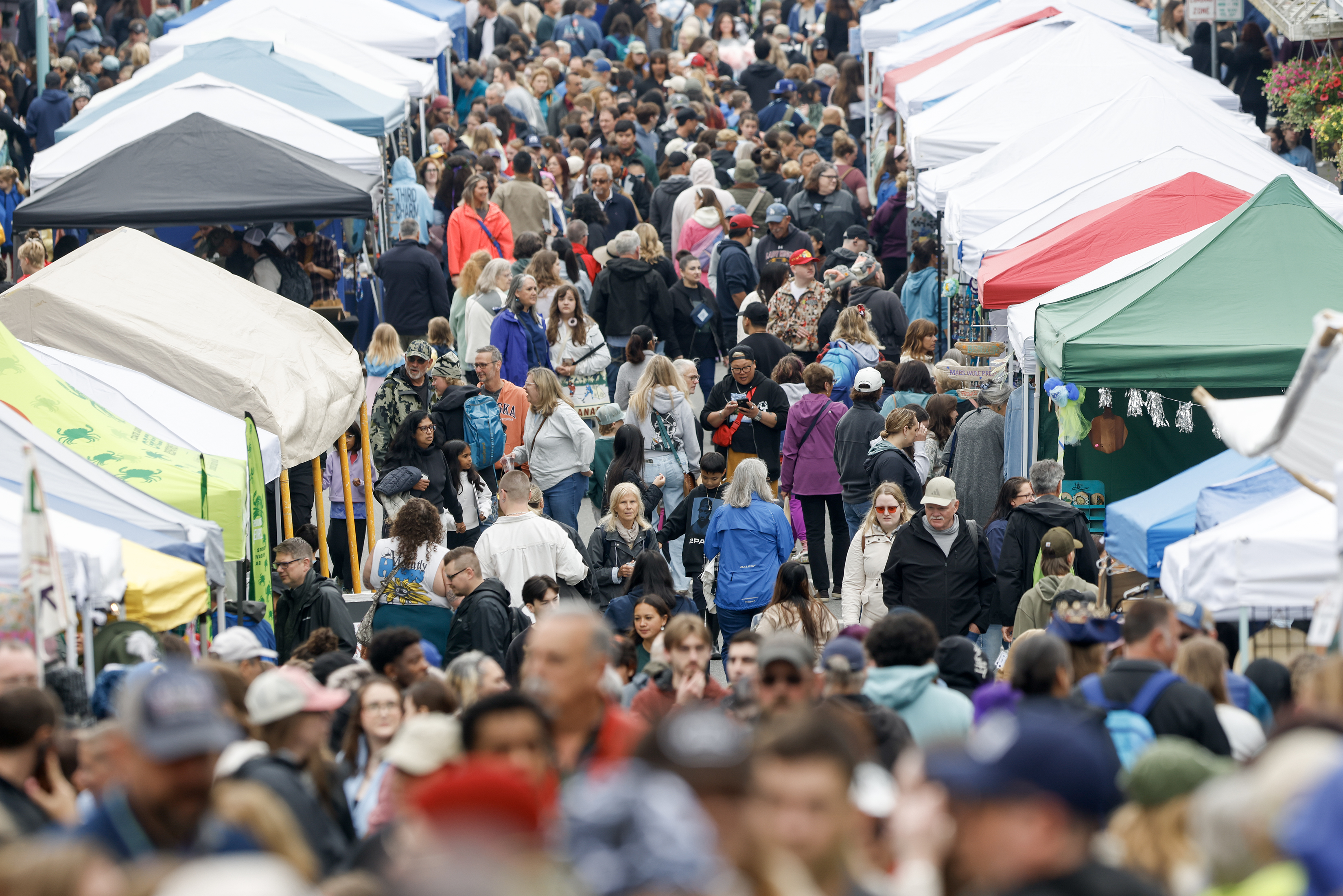 2026 08 01 Blueberry Festival 15
