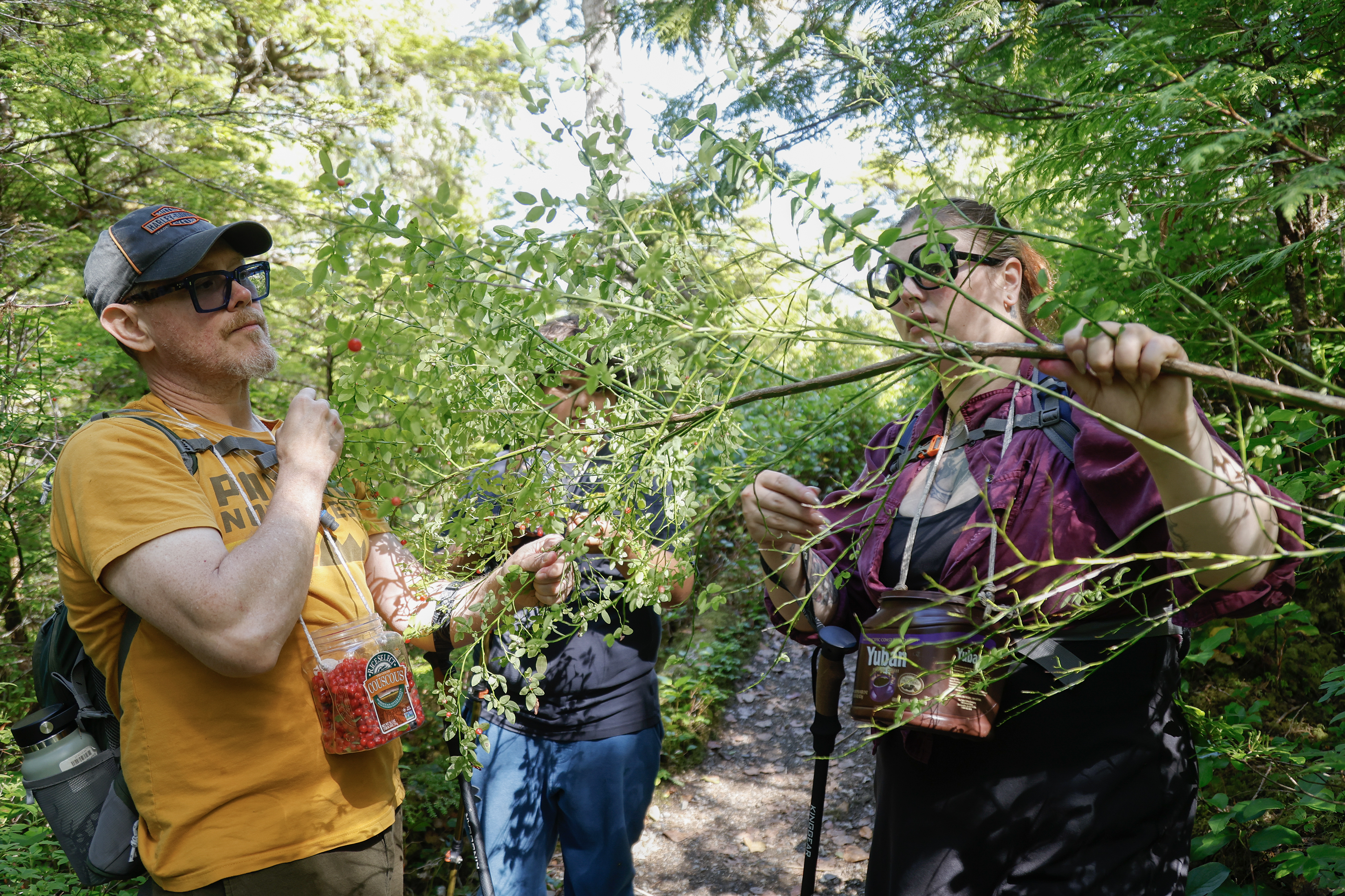 2026 08 09 Berry Pickers