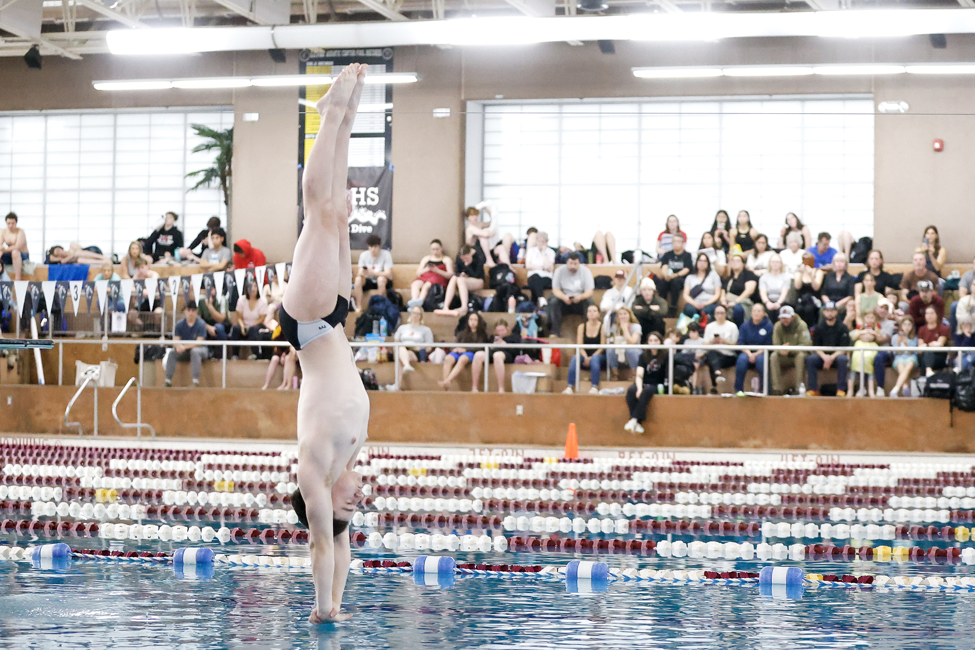 2025 11 01 Swimming Regionals Kayhi Liam Woodward