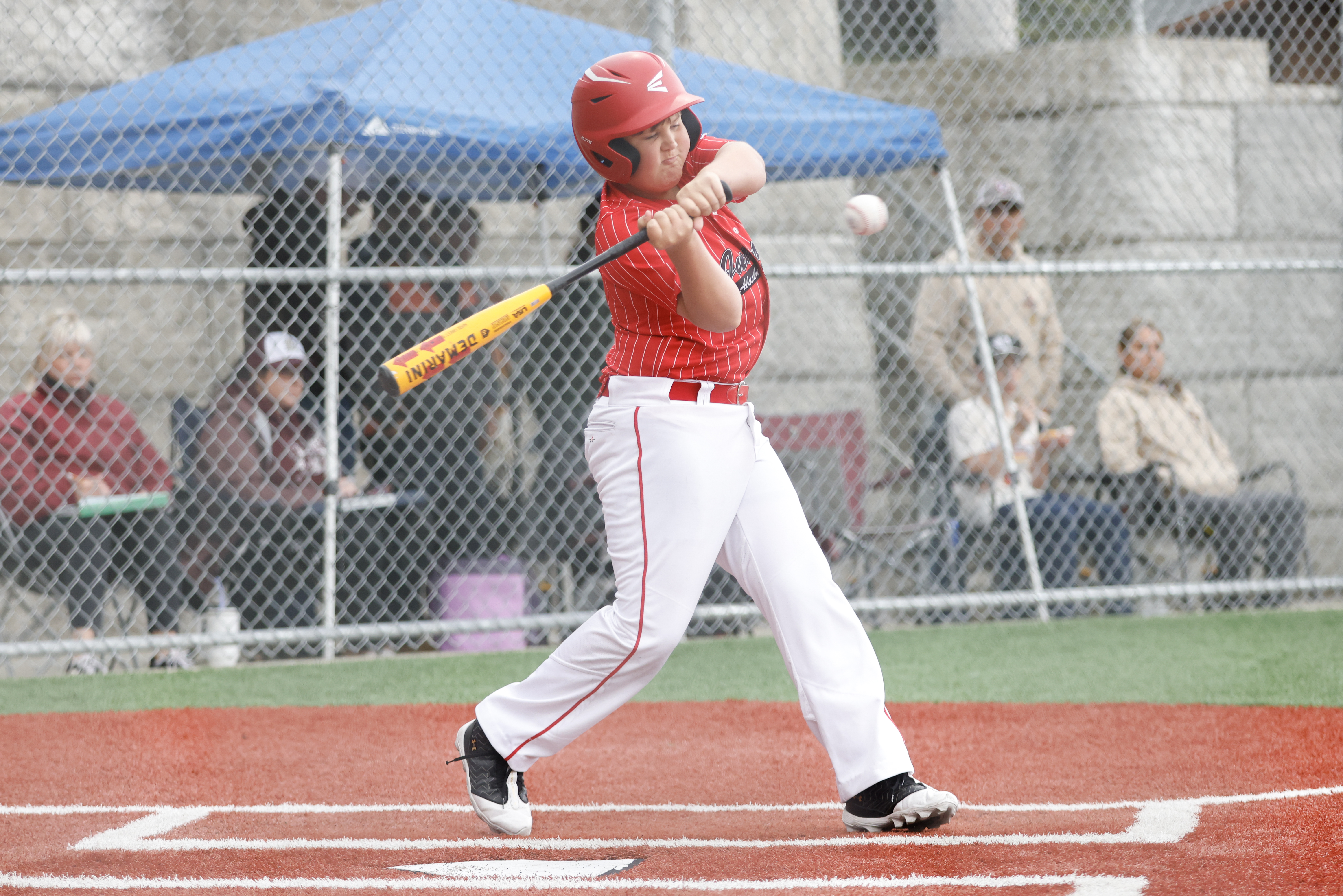 2026 07 28 Little League Juneau Ketchikan 030