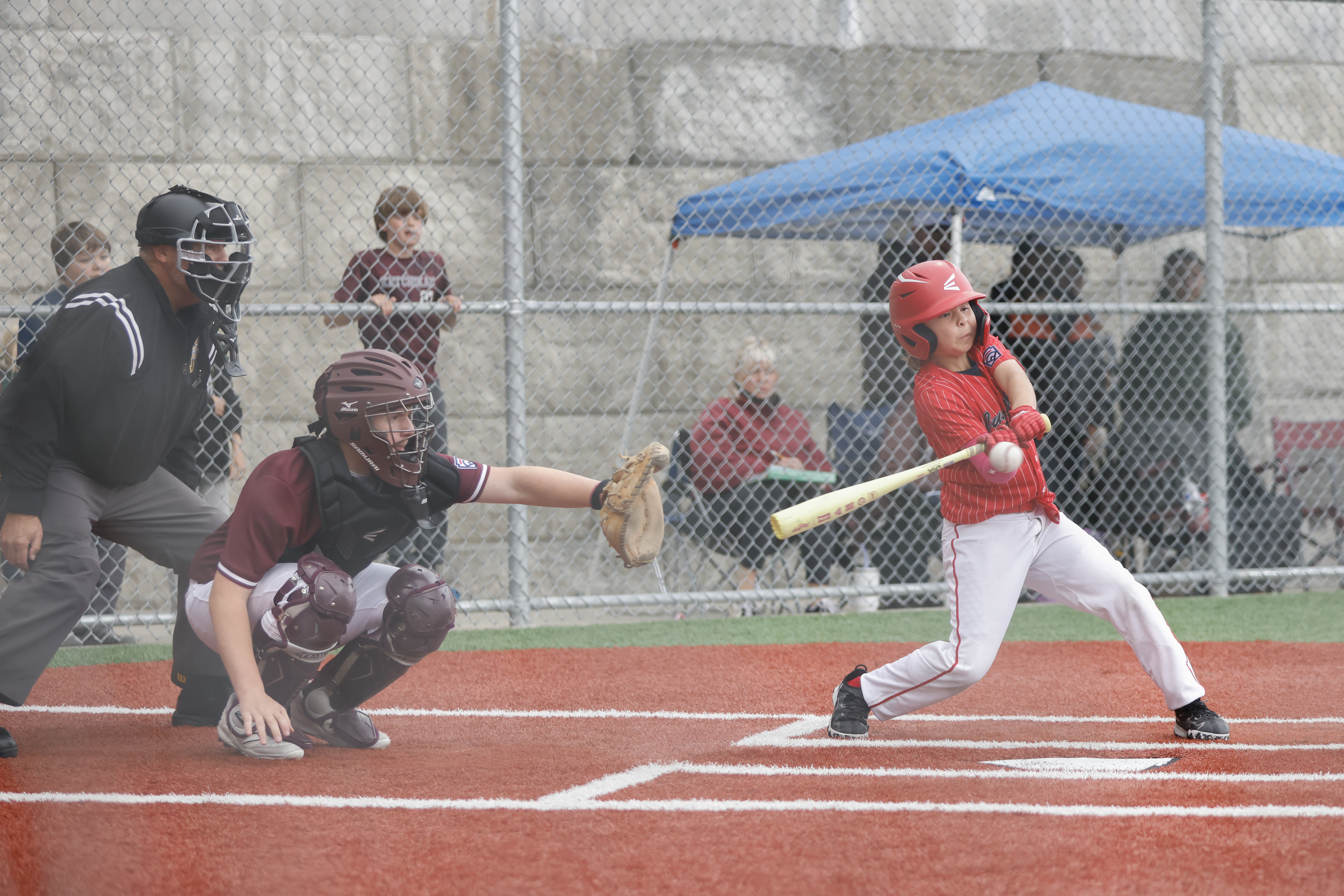 2026 07 28 Little League Juneau Ketchikan 033