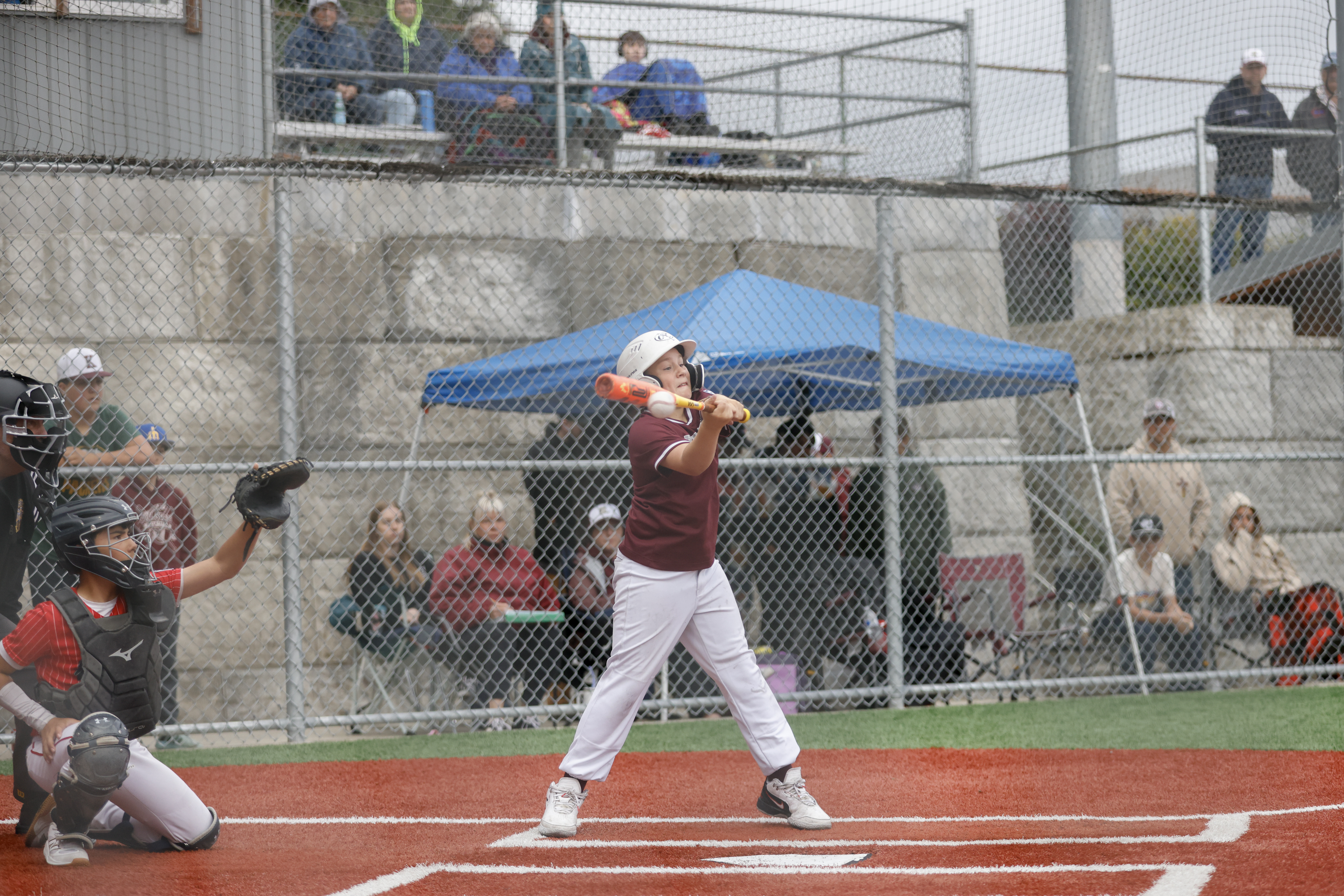 2026 07 28 Little League Juneau Ketchikan 048