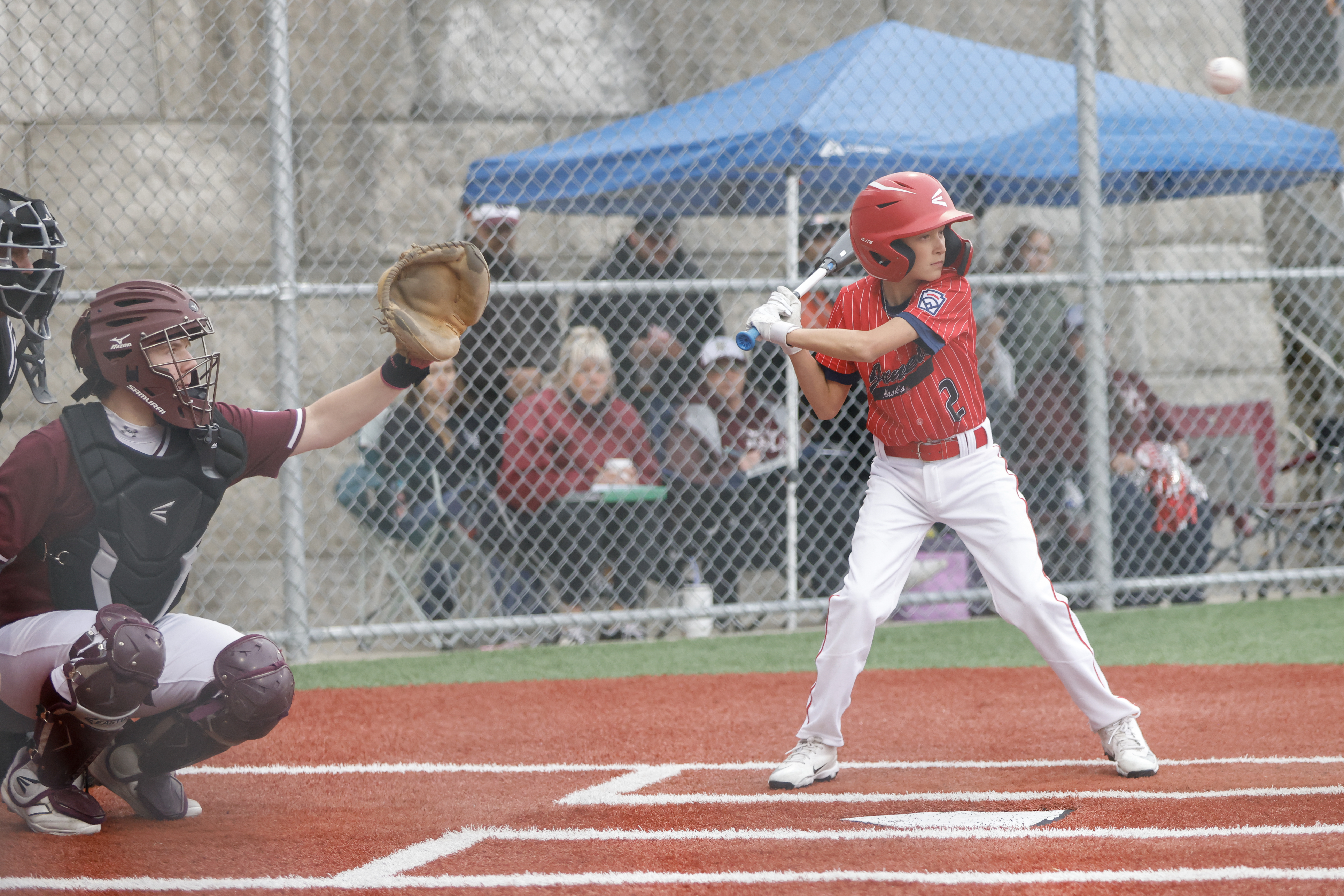 2026 07 28 Little League Juneau Ketchikan 059