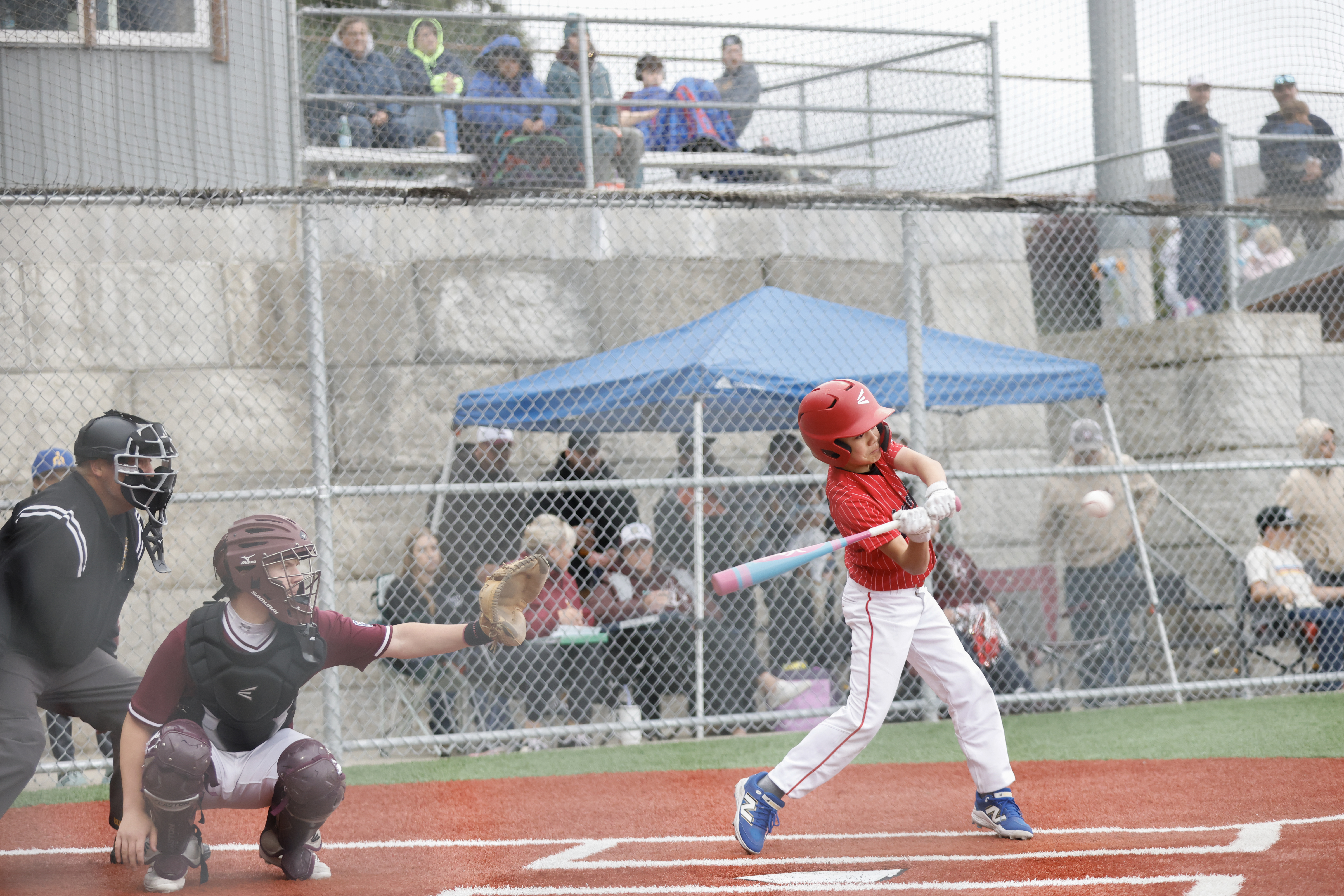 2026 07 28 Little League Juneau Ketchikan 066